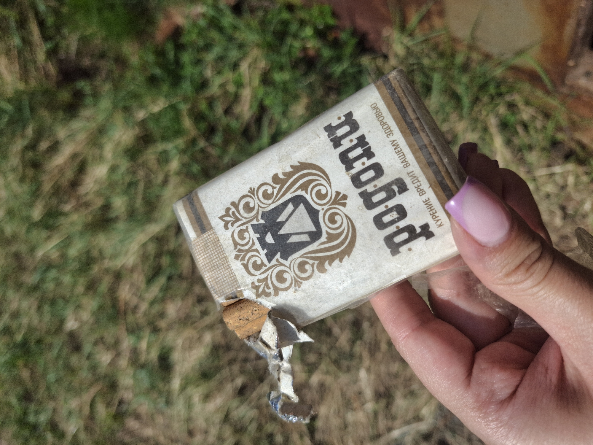 A person holds an opened package of "Bogatyri" cigarettes. The package shows signs of wear and tear. The background consists of green grass and some dirt patches. The location is outdoors, during the day. The city is Chaikovsky, Russia.