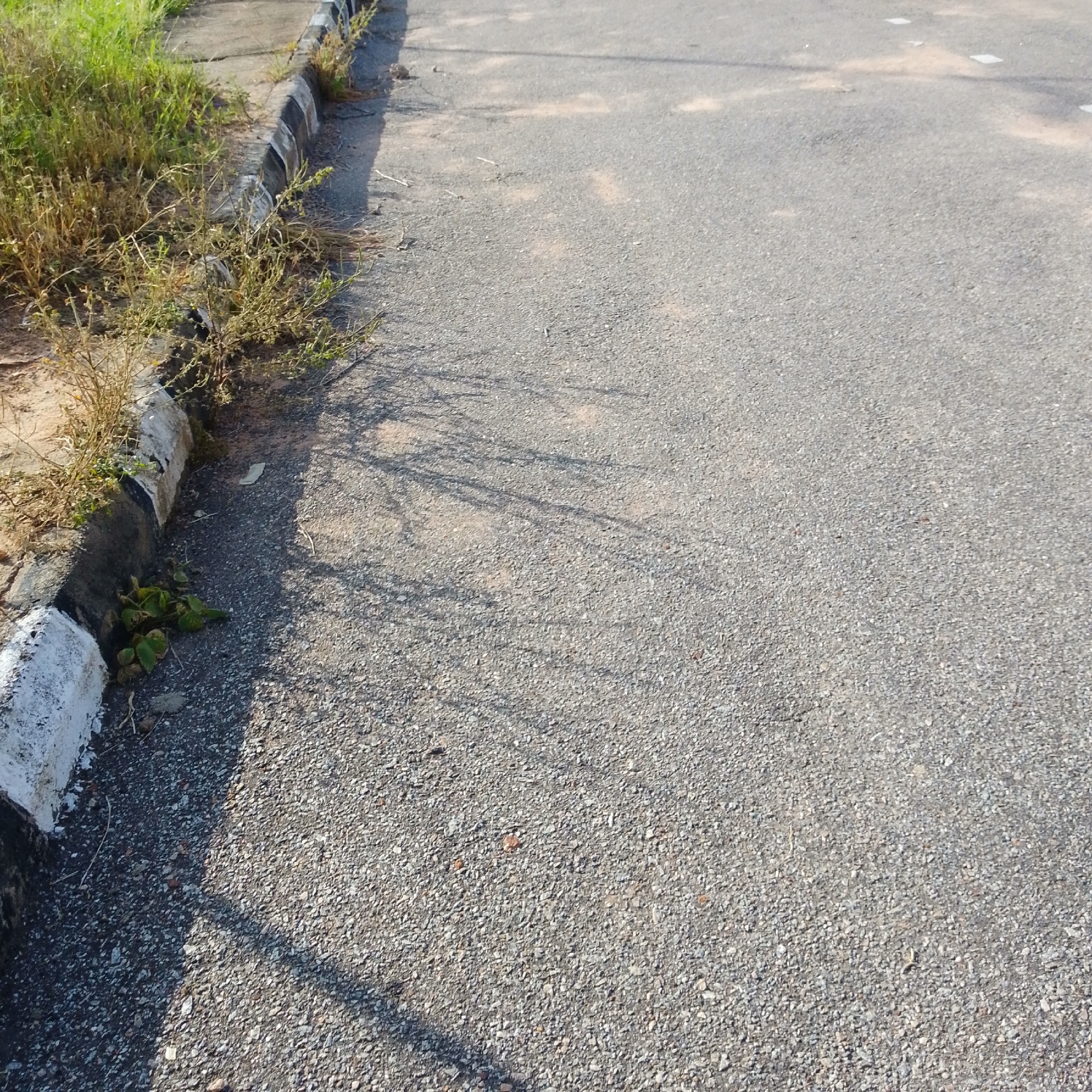 The image shows a section of a paved road with a curb on the left side. The curb is painted with alternating black and white stripes. Green grass and dry weeds grow alongside the curb. Shadows of vegetation and possibly tree branches are cast on the road surface. The road is made of asphalt with small grey stones embedded in it. There are a few light-colored square marks on the road in the background, which could be painted road markings. The overall scene appears to be an outdoor environment in daylight. The location is described as Unknown, Unknown.
