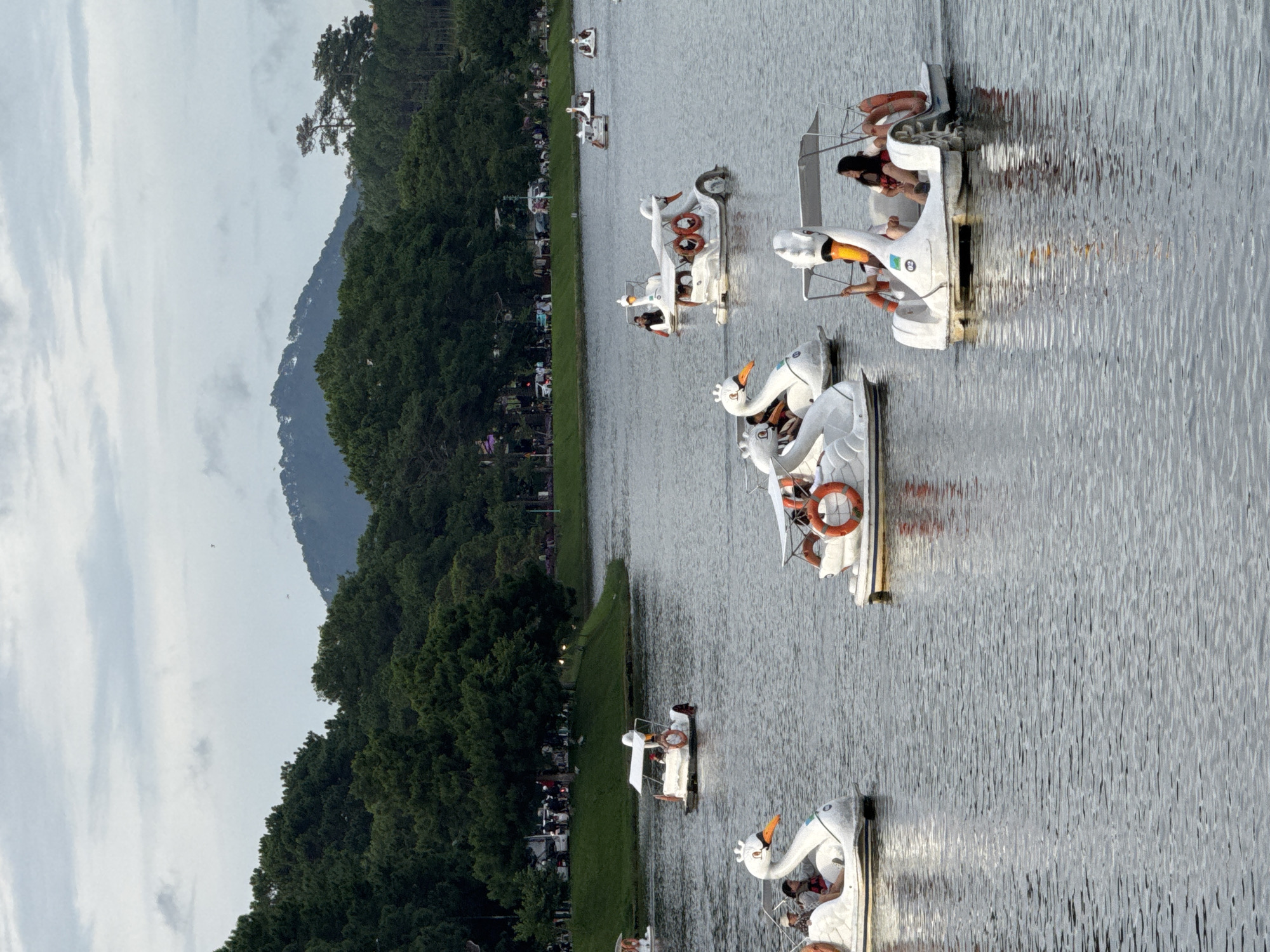 The image shows Xuan Huong Lake in Da Lat, Vietnam, a popular tourist destination. The lake is calm and the sky is overcast with scattered clouds, suggesting it is either early morning or late afternoon. In the foreground and mid-ground, several swan-shaped paddle boats are visible on the water, some with passengers. The boats are white and have distinctive swan heads and necks. The shoreline in the background is lined with lush green trees and further back, rolling hills with more trees and a distant mountain peak are visible. People are present on the boats and on the grassy area along the shore, engaged in recreational activities. The overall atmosphere is one of leisure and natural beauty.