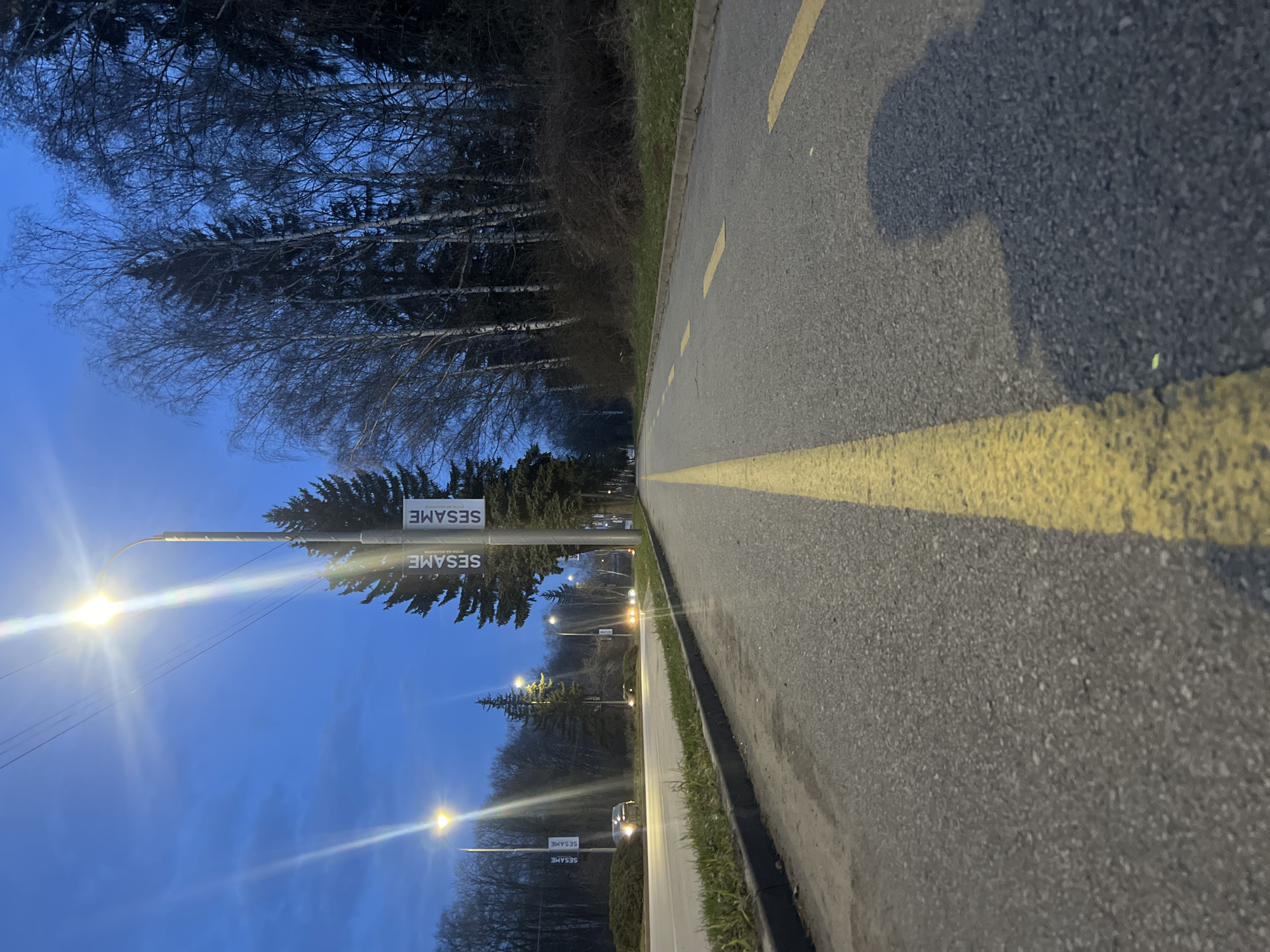 The image depicts an outdoor scene in Pernik, Bulgaria, at dusk or early night. The foreground features an asphalt surface with a continuous yellow line on the left and two sets of dashed yellow lines to the right, suggesting a pedestrian or bicycle path. A human shadow, consistent with a standing figure, is cast on the asphalt surface to the right of the continuous yellow line.
To the immediate left of this path, a low black curb borders a narrow strip of grass, beyond which lies a multi-lane asphalt road. Several vehicles with illuminated headlights are visible on the road, receding into the distance. Bright, operational streetlights with a distinct starburst effect are positioned along the left side of the road. Some of these light poles display vertical white banners with the text "SESAME" printed in dark letters, repeated twice.
The background on the left features a treeline of bare deciduous trees, while on the right, a dense forest comprises both bare deciduous trees and dark evergreen conifers. The sky is a deep twilight blue, transitioning to a slightly lighter tone near the horizon on the left. No other individuals are present within the observable scene.