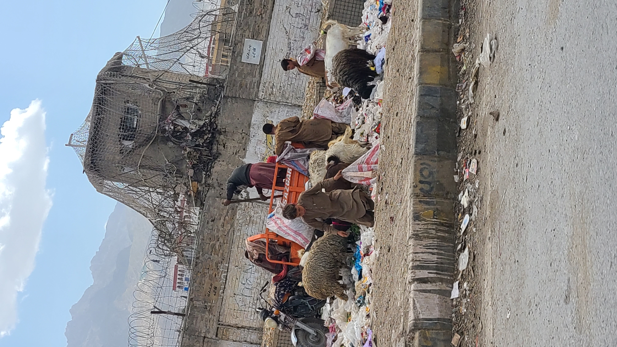 This outdoor scene, set in what appears to be an urban or peri-urban environment, depicts a stark reality of scavenging. A large, sprawling pile of trash and debris lines the edge of a paved road or sidewalk, stretching from the foreground into the midground.
Several individuals, primarily men or boys dressed in traditional loose clothing (shalwar kameez), are actively sifting through the refuse. In the foreground, one person in a brown outfit leans over the trash. Further back, others are similarly engaged, bending and reaching into the pile, suggesting they are searching for usable items or materials. A person in a darker outfit is seen near an orange three-wheeled cargo vehicle, likely a "rickshaw," which has "SAZGAR" written on its side. Large, striped bags, possibly for collecting scavenged goods, are scattered among the trash and on the vehicle.
Accompanying the people are several animals. A white goat and a black sheep are visible standing directly on the trash pile, seemingly grazing or foraging. Another shaggy, light-colored sheep or goat is positioned near the orange vehicle, also interacting with the refuse. A motorbike is parked at the lower left edge of the trash pile.
In the background, a dilapidated or partially destroyed building, covered with a mesh net and exposed rebar, stands against a clear, bright sky with scattered white clouds. Barbed wire fencing is visible around the base of this structure. Distant mountains can be seen under the bright daylight, suggesting a mountainous region. The overall atmosphere conveys a scene of poverty, resourcefulness, and environmental challenge in Quetta, Pakistan. Faint, illegible graffiti or text is visible on the wall behind the trash.