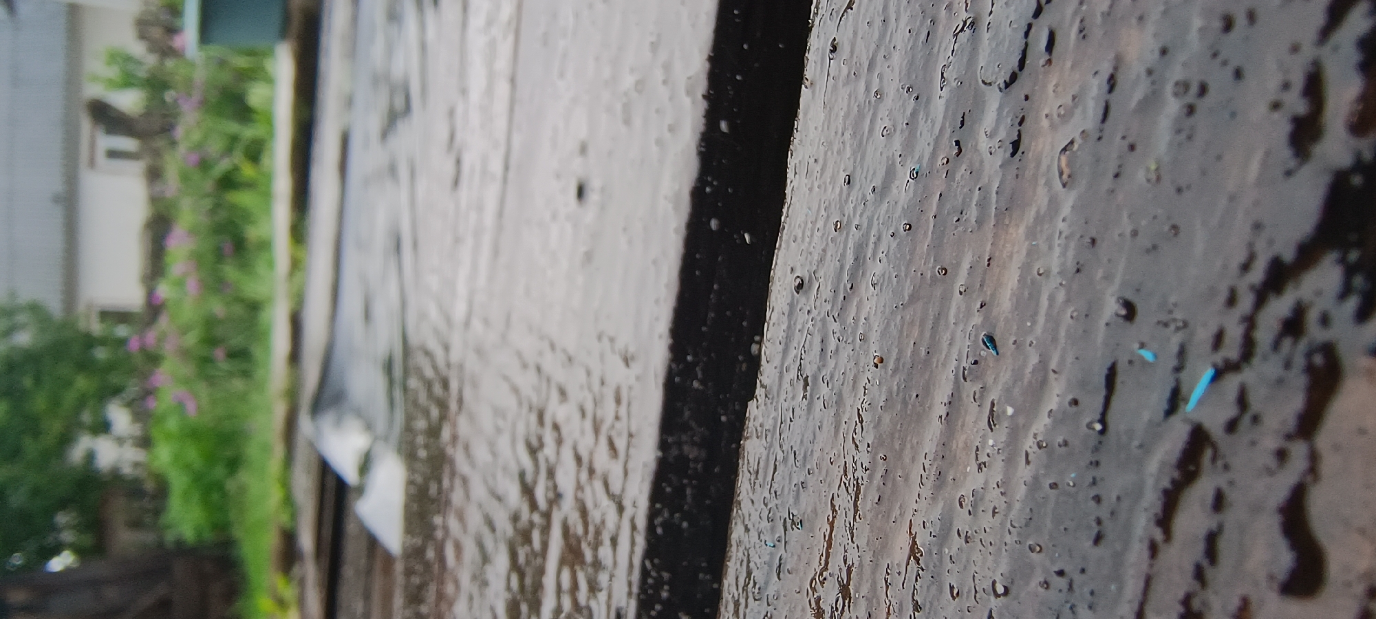 A close-up, low-angle shot captures a wet, dark wooden surface, likely a deck or table, under the rain. Water droplets are visible on the surface, reflecting light. In the background, out of focus, is a green garden with pink flowers, a white building with a dark roof, and a green trash can. The scene suggests an outdoor setting, possibly a backyard or garden area, during a rainy day in an unspecified location.
