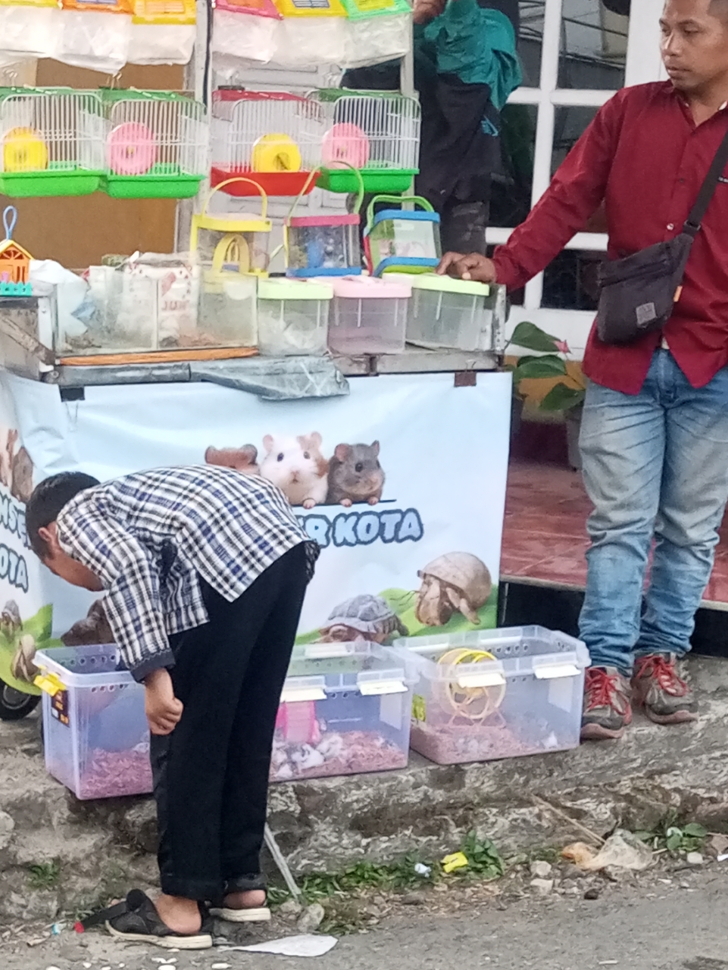 This image, taken in Pandansari, Indonesia, depicts a street scene with a stall selling small animals and their accessories. A young boy, wearing a blue and white plaid long-sleeved shirt and black pants, is bent over, looking into a clear plastic container filled with bedding material. He is wearing dark sandals. To the right of the boy, a man in a red long-sleeved shirt and blue jeans stands, with a dark messenger bag slung across his chest. Behind them, various plastic cages and containers are displayed, some holding small animals such as hamsters, and others containing running wheels and bedding. The stall is set up on a concrete surface with some vegetation and debris present. A banner with cartoon illustrations of small animals and the text "KOTA" is visible on the stall.