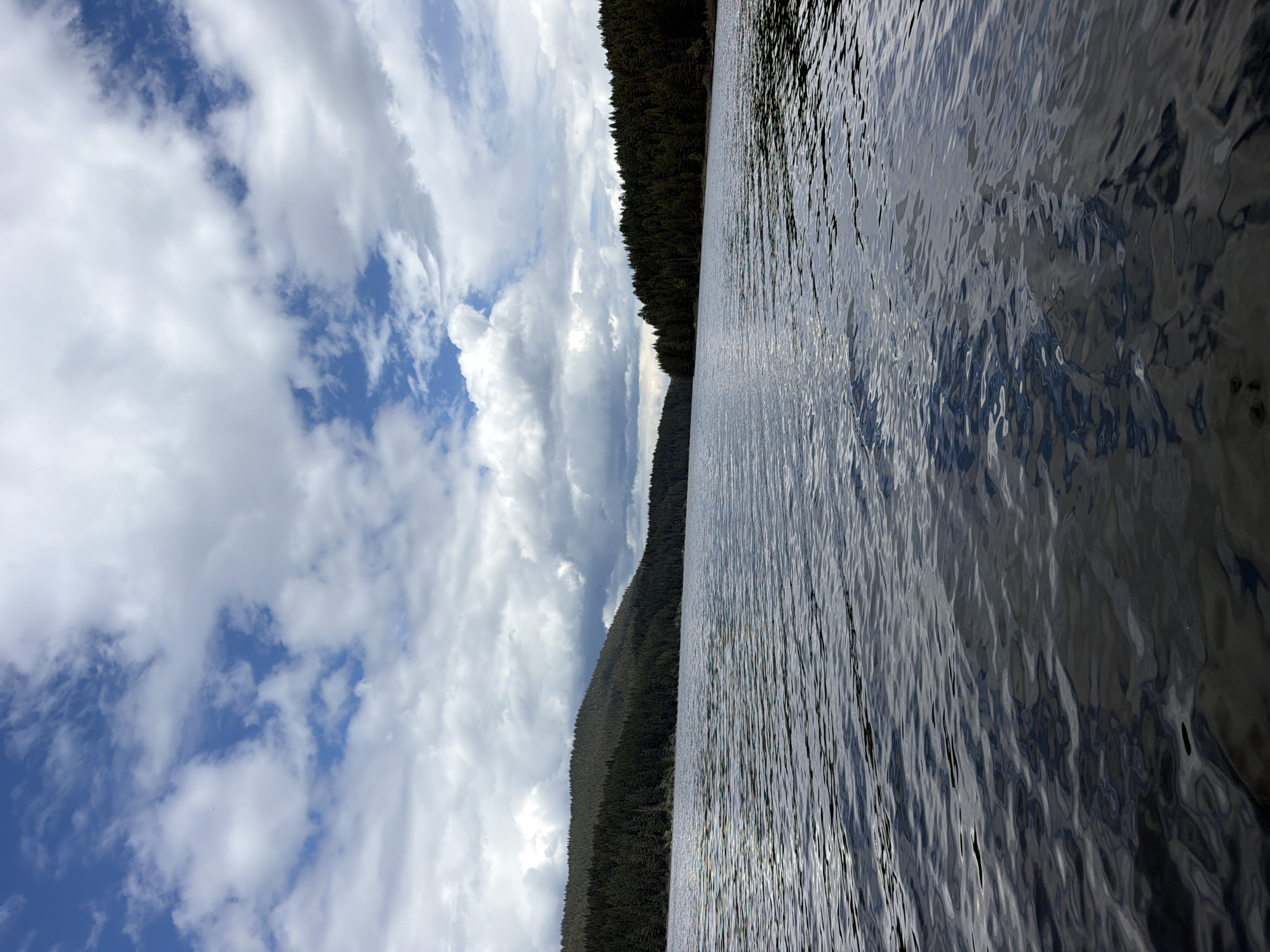The image depicts a body of water adjacent to a dark, wooded shoreline, set against a backdrop of a cloudy sky with patches of blue. The location is Unknown, Unknown. The water's surface shows slight ripples, suggesting a gentle breeze. The sky is dominated by fluffy white clouds. No people or specific objects are discernable.