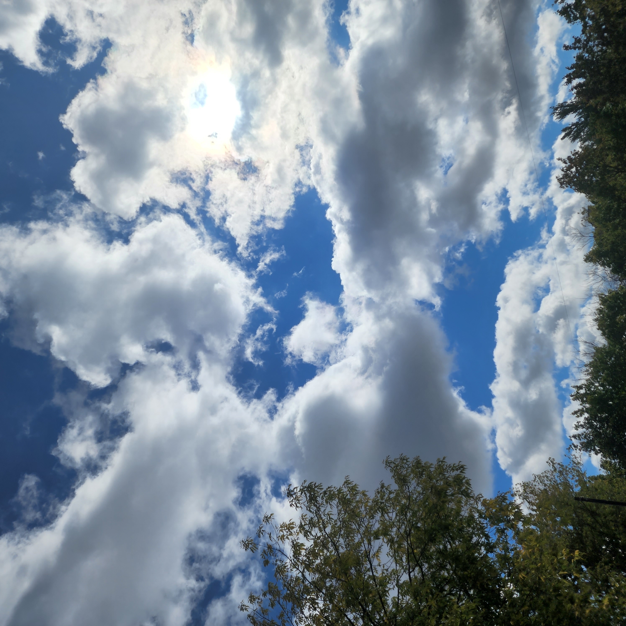 This is a ground-level photograph looking up at a sky filled with dramatic, fluffy white and grey clouds against a vibrant blue sky. The sun is visible through a gap in the clouds in the upper right quadrant, casting a bright, hazy glow. The tops of trees with green and yellowing leaves are visible along the bottom edge of the frame, suggesting a season of transition, possibly autumn. The scene appears to be set in an outdoor environment, with no visible man-made structures or people. The specific location in Moscow, Russia, cannot be determined from the provided image.