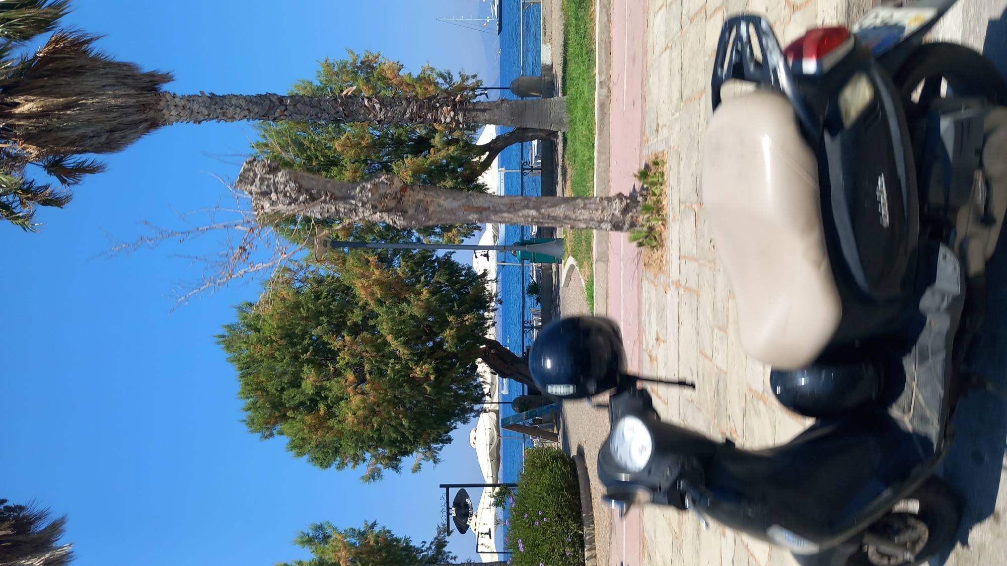 The image depicts a street scene on a sunny day, likely in the city of Kos, Greece, given the context. In the foreground, a black scooter with a light beige seat is captured from the side, slightly blurred, suggesting movement. A black helmet rests on the handlebars. Behind the scooter, a paved walkway is visible, bordered by a strip of ground with sparse vegetation. Further back, a lush green tree stands prominently, its branches reaching towards a clear blue sky. Adjacent to it, a thinner, barren tree trunk adds texture to the scene. Beyond the trees, a body of water, presumably the sea, stretches out under the bright sky. In the distance, several white umbrellas are set up, possibly for an outdoor seating area or beach access. A sailboat is also visible on the water. The overall impression is a bright, coastal environment with elements of urban infrastructure and natural scenery.