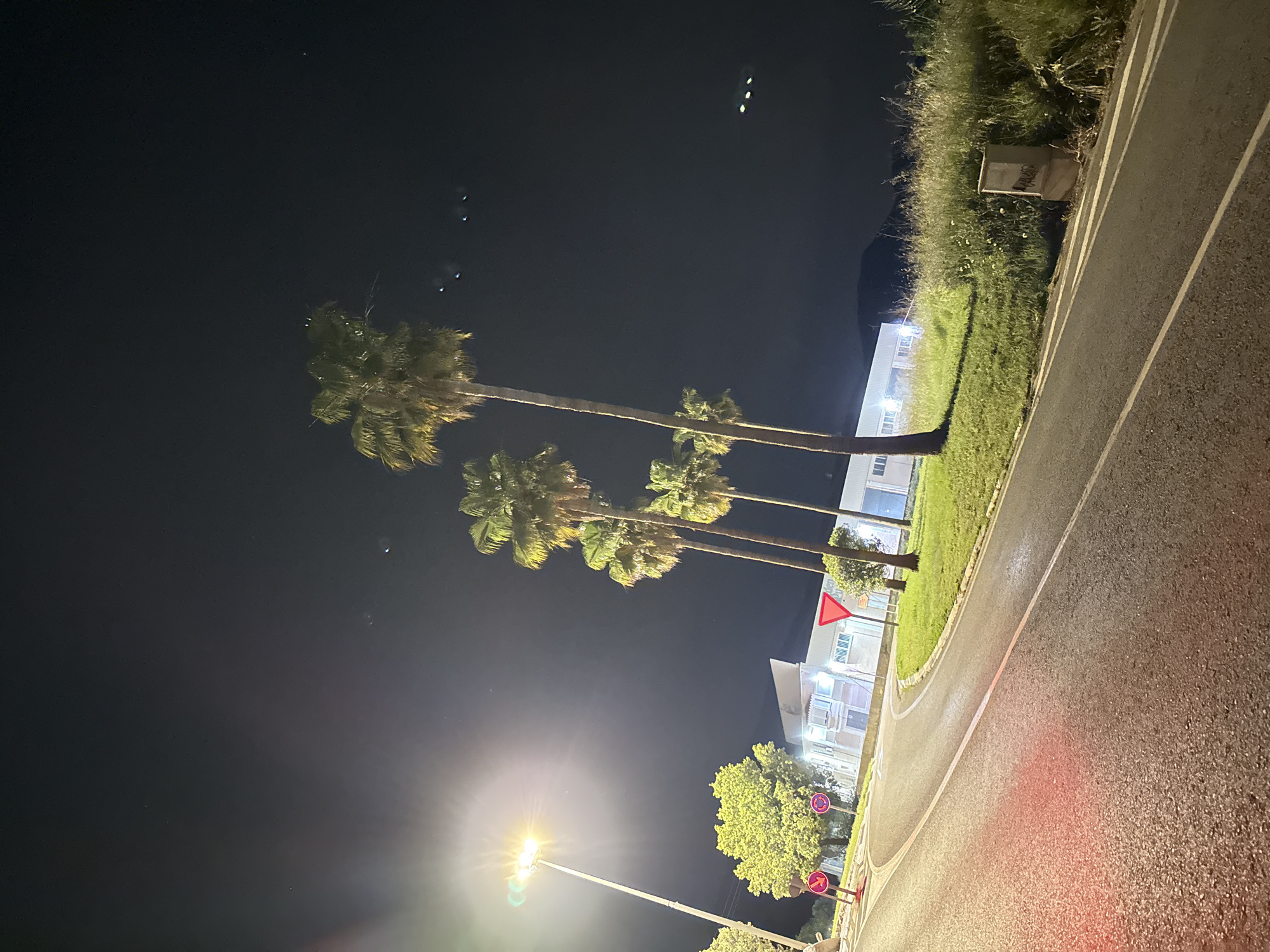 Night scene in Canals, Spain, featuring a road curving to the left with tall palm trees lining the side. The trees cast shadows, and streetlights illuminate the road and the side of a building in the background. Road signs and barriers are visible along the road, and the sky is dark.