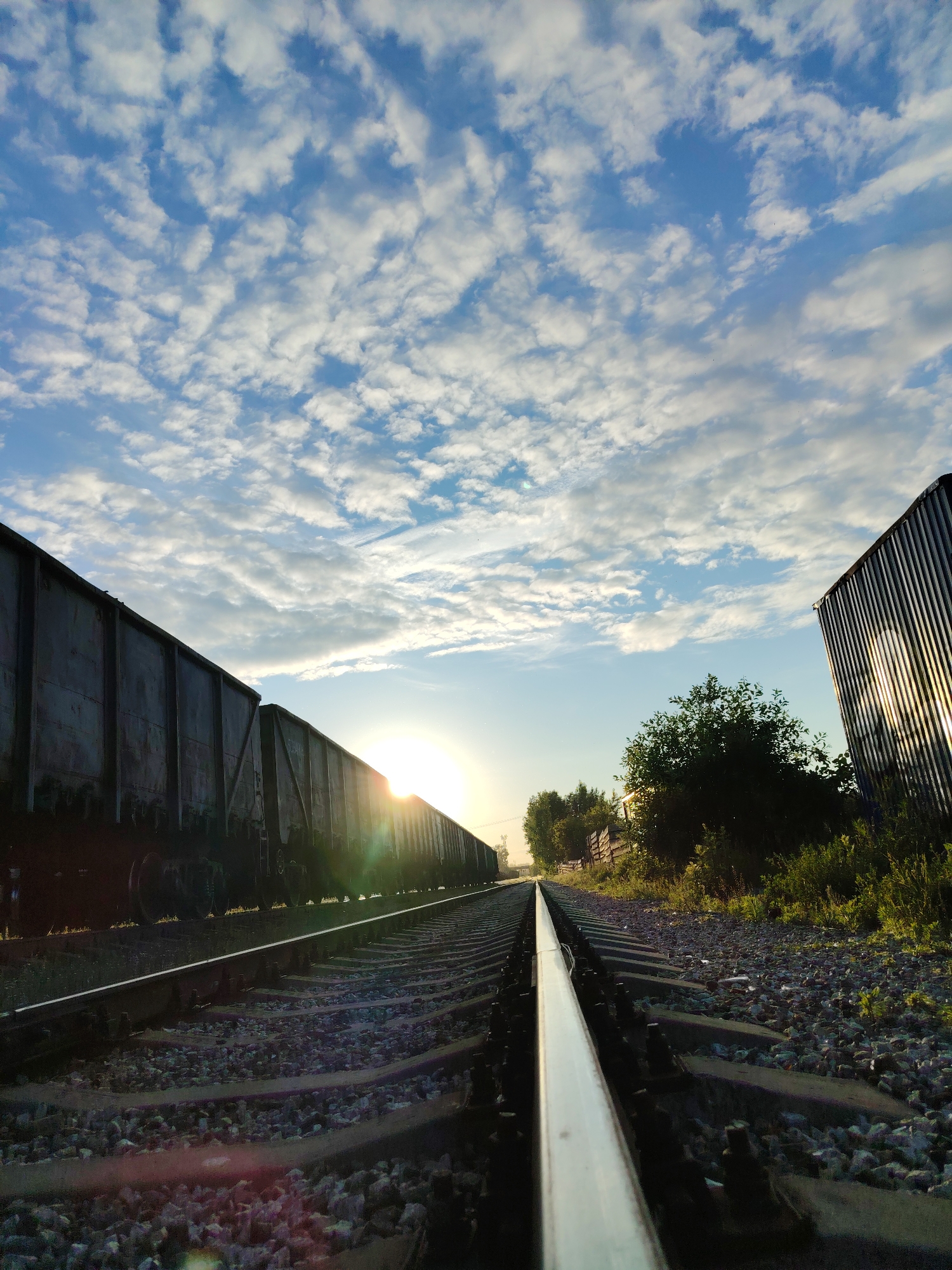 A low-angle, wide-shot photograph, taken in Chaikovsky, Russia, depicts a railway scene under a sky with scattered white cumulus clouds. Two sets of parallel railroad tracks recede into the distance, with the rightmost track originating prominently in the foreground. The tracks consist of metallic rails laid on sleepers embedded in gravel ballast. On the left set of tracks, a line of multiple dark, weathered open-top freight cars, possibly gondola cars, extends from the mid-ground towards the horizon. The sun is positioned low on the horizon, centrally in the mid-ground, behind the train cars, emitting a strong golden glow and distinct lens flare that radiates across the image. To the immediate right of the tracks, dense green vegetation, including trees and bushes, lines the railway. Further to the right, a vertical structure composed of reflective corrugated metal is visible, catching the sunlight. The overall lighting suggests either sunrise or sunset, with the sun creating significant backlighting and silhouetting elements in the foreground and mid-ground. No individuals or animals are present.