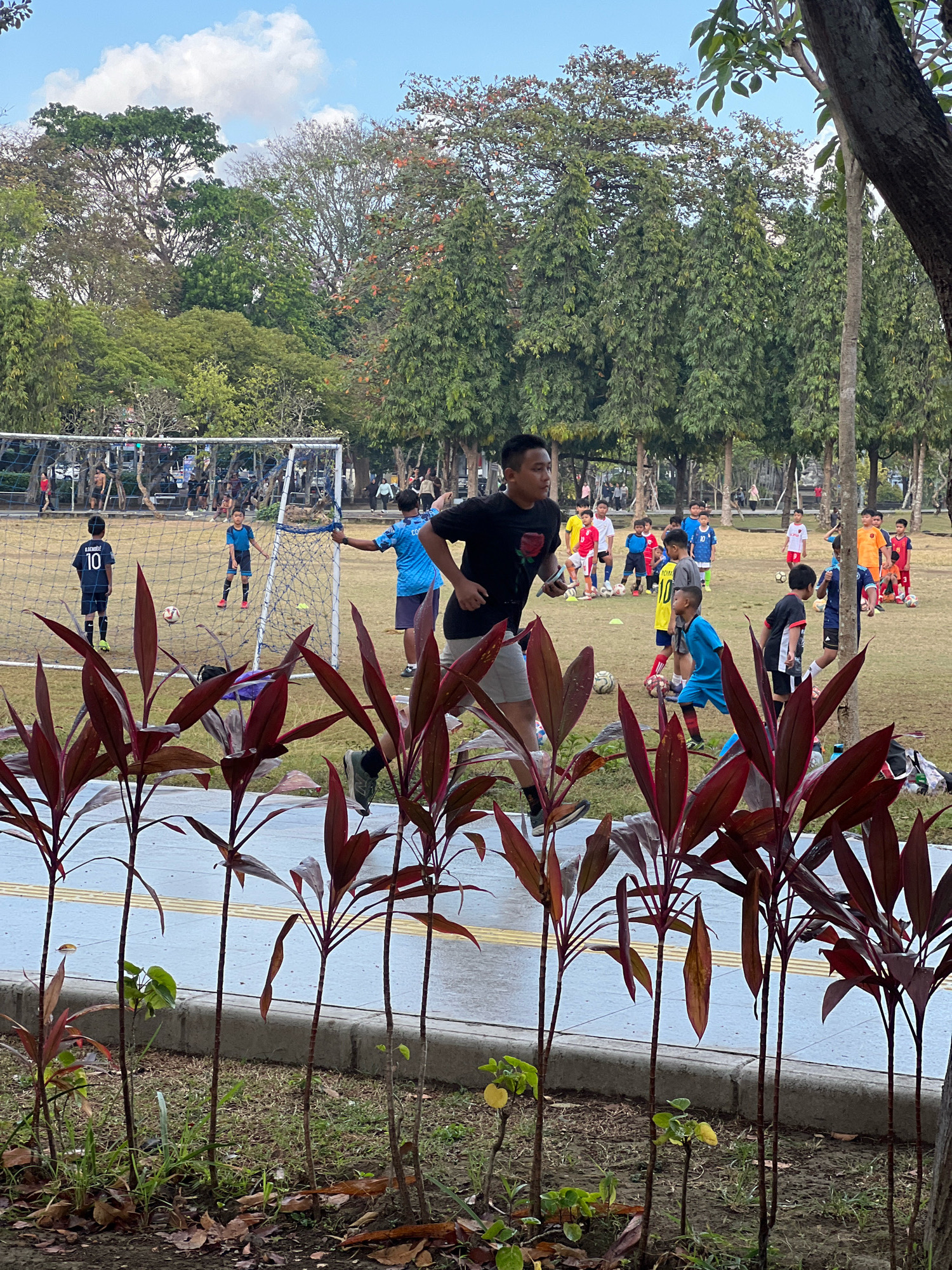 In Denpasar, Indonesia, at a grassy park with scattered trees, a group of young boys in soccer uniforms are engaged in a training session. In the foreground, a young boy wearing a blue soccer jersey and shorts stands near a soccer goal, looking towards the ball. To his left, another boy in a dark blue jersey with the number 10 is positioned on the field. A man in a black t-shirt and grey shorts is running in the mid-ground, observing the training. Several other children in various colored uniforms are scattered across the field, some with soccer balls at their feet. The scene is set against a backdrop of lush green trees and a bright, partly cloudy sky. A soccer goal is visible with a net and posts. The ground is covered in dry grass, and there are fallen leaves. In the immediate foreground, tall, thin plants with dark red leaves are growing along a paved pathway.
