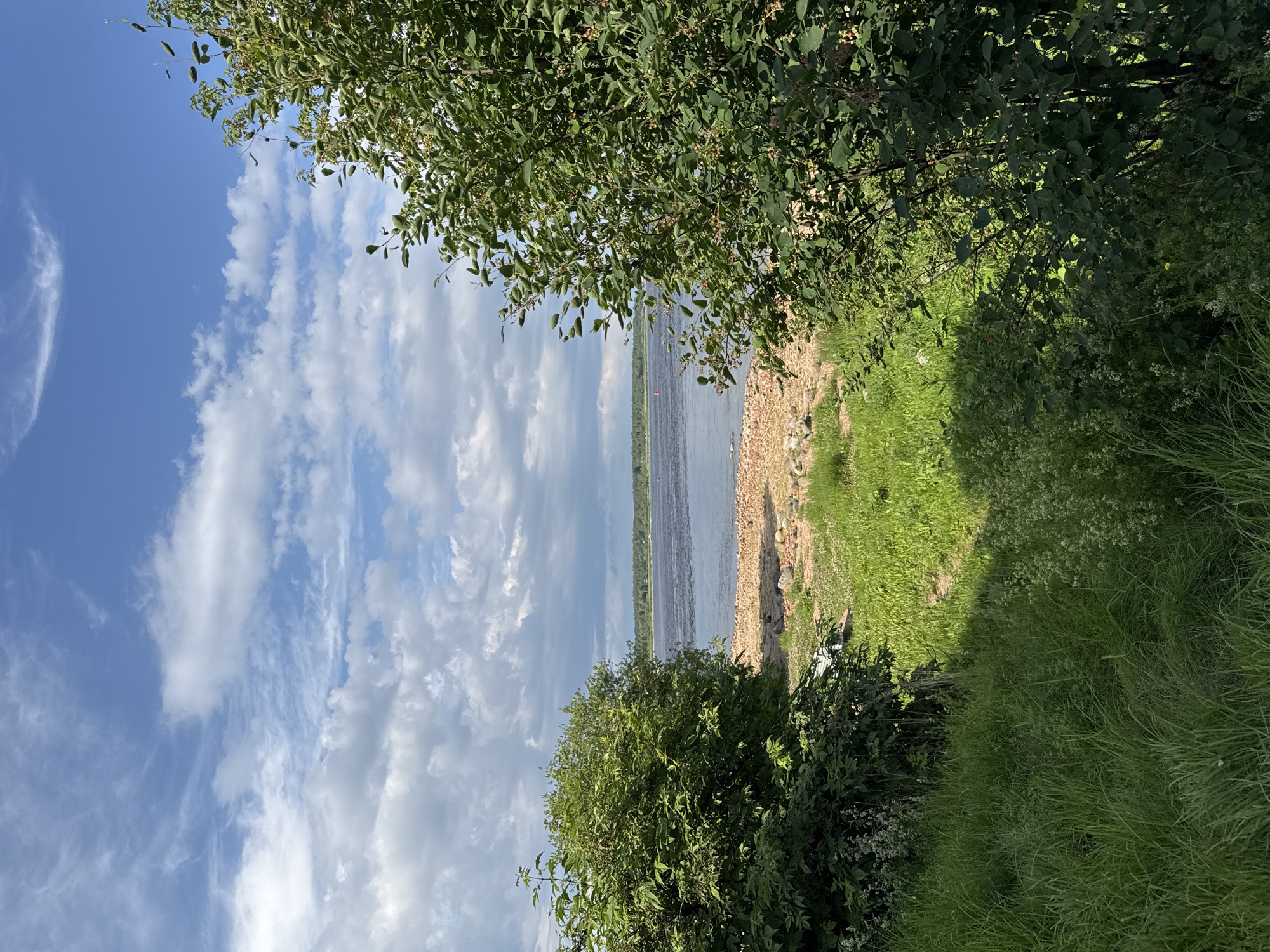 This media file is a photograph of a wide body of water, likely a river, on a sunny day with a bright blue sky filled with fluffy white clouds. The foreground is dominated by lush green grass and dense foliage from trees, casting shadows on the grass in some areas. The right bank of the water is lined with small stones and gravel, separating the water from the grassy area.
The scene appears to be a natural landscape, possibly a park or a natural reserve, given the abundant vegetation and the tranquil appearance of the water. There is a hint of a distant horizon with faint structures or trees, suggesting a landscape beyond the immediate view. A single red buoy is visible in the water, indicating a navigable waterway or a marked area.
The time of day appears to be daytime, with the sun casting distinct shadows, suggesting it could be late morning or early afternoon. The weather is fair and pleasant, characterized by the clear blue sky and abundant sunlight. There is no discernible activity or event taking place; the image captures a serene moment of nature. No text is visible in the photograph. The overall mood is peaceful and natural.