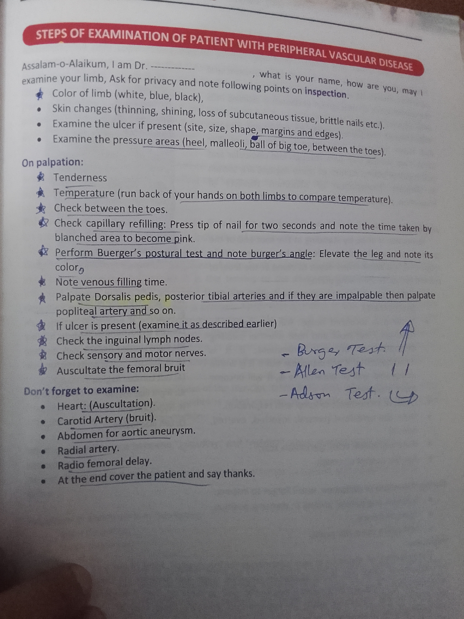 The image shows a page from a medical document, likely a checklist or guide for examining a patient with peripheral vascular disease. The text is printed and some sections have been underlined and annotated with blue ink handwriting.
The document is titled "STEPS OF EXAMINATION OF PATIENT WITH PERIPHERAL VASCULAR DISEASE". It begins with an introductory phrase: "Assalam-o-Alaikum, I am Dr. ______". This is followed by instructions for the examination, divided into "On palpation" and "Don't forget to examine".
Under "On palpation", there are several points to check, including:
* Tenderness
* Temperature
* Checking between the toes
* Checking capillary refilling
* Performing Buerger's postural test and noting color
* Noting venous filling time
* Palpating Dorsalis pedis, posterior tibial arteries, and popliteal artery
* Examining ulcers if present
* Checking inguinal lymph nodes
* Checking sensory and motor nerves
* Auscultating the femoral bruit
The "Don't forget to examine" section lists:
* Heart (Auscultation)
* Carotid Artery (bruit)
* Abdomen for aortic aneurysm
* Radial artery
* Radio femoral delay
* At the end, cover the patient and say thanks.
Handwritten notes in blue ink appear to the right of some of the listed examination steps. These include:
* "Burge's Test" with an upward arrow
* "Allen Test 11"
* "Adson Test. (C)"
The document is printed on white paper and appears to be a page from a notebook or binder. The lighting suggests it is indoors. There are no visible indications of a city or specific location.