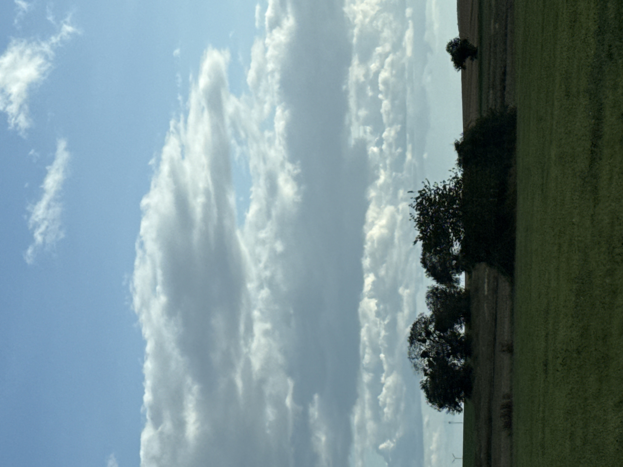 An outdoor, vertical shot captures a rural landscape under a cloudy blue sky. The foreground is a dark green field, giving way to a slightly elevated, darker green embankment with several dark green trees and shrubs. In the distance, a horizon line is formed by rolling hills with patches of cultivated land. To the left, two white wind turbines are visible. The overall scene is natural and serene, characteristic of the countryside in Herzberg, Germany.