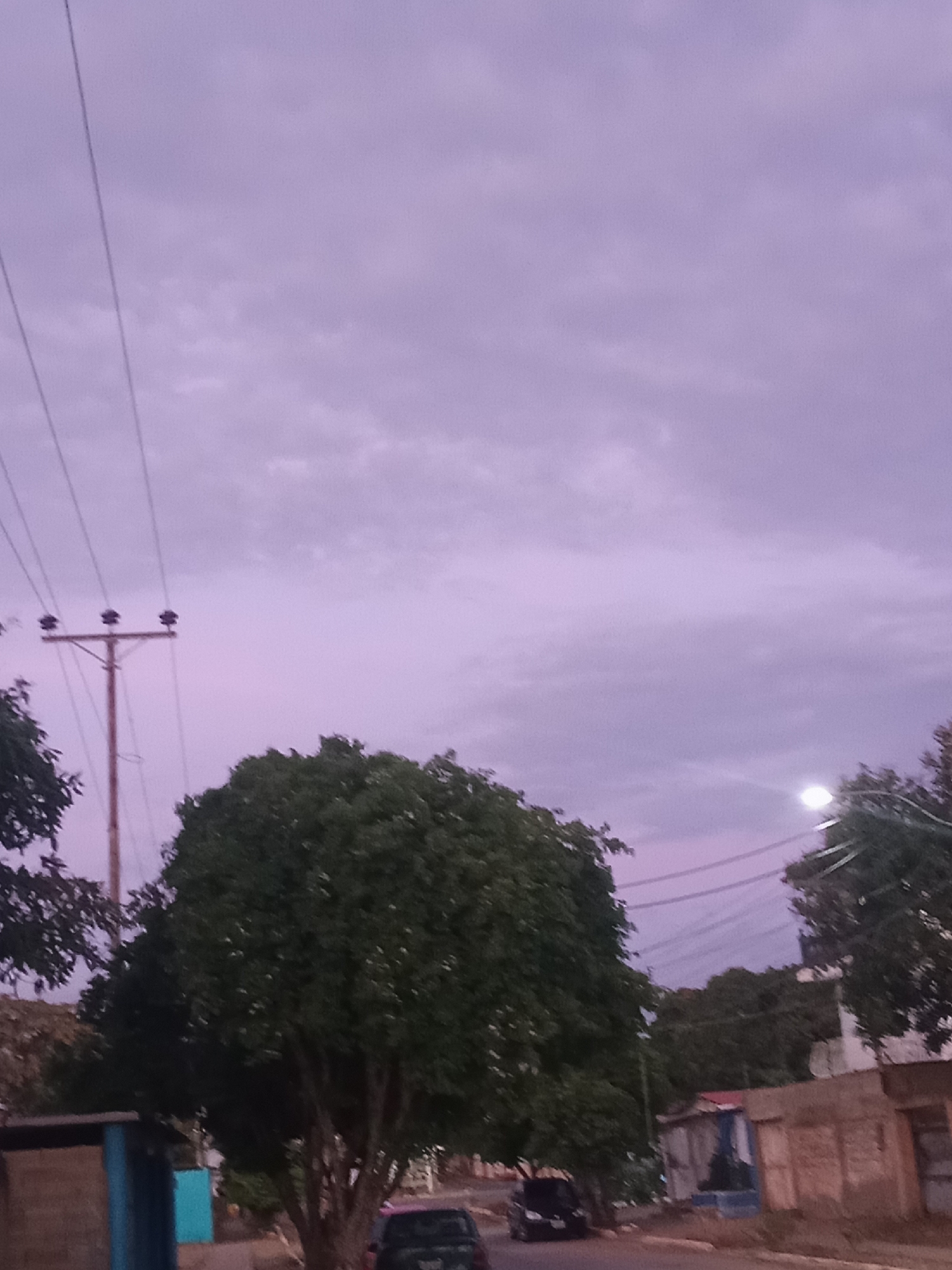 The image depicts a street scene in Juan Griego, Venezuela, at dusk. The sky is a light purple, hinting at the setting sun. Overhead power lines extend from a wooden utility pole on the left. The street is lined with trees, casting shadows on the road. On the right side, there are houses with modest structures. Two vehicles are visible on the road, one closer to the foreground and the other further down the street. A small, open-air structure with blue and teal panels is seen on the left side of the road. A streetlight casts a bright glow in the distance, between two trees. No people are visible.