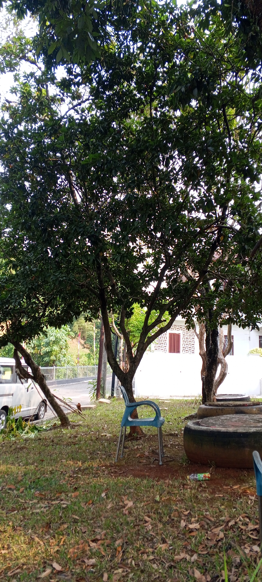 The image depicts an outdoor scene in Gunung Putri, Indonesia, on a bright, sunny day. The foreground is dominated by a grassy area littered with fallen leaves. A blue plastic chair with metal legs stands centrally in the frame, positioned beneath the canopy of a large, leafy tree. To the left, part of a silver van is visible, parked on a paved surface. Behind the chair and to the right, two large, circular concrete structures are partially visible. Further back, a white building with a distinctive patterned window is situated. The background reveals lush green trees and vegetation, suggesting a suburban or semi-rural setting. A paved road runs along the middle ground, with a fence bordering it. The overall impression is one of a tranquil, possibly residential, outdoor space.