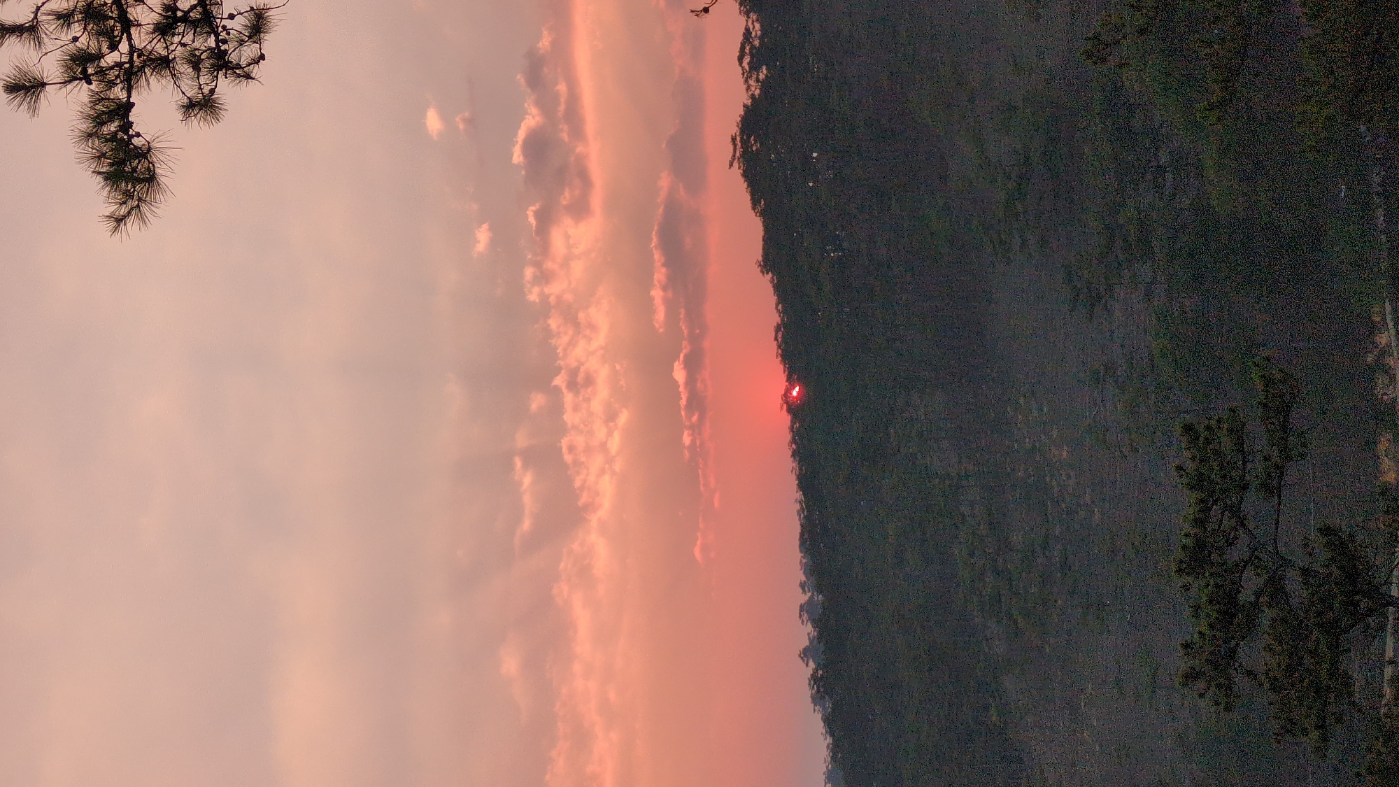 The image shows a landscape at dusk, likely in Lạc Dương, Vietnam, based on the prompt. The sky is filled with clouds tinted pink by the setting sun, which is a bright red orb just above the treeline on the right. The silhouette of a forested mountain or hill forms the right edge of the image. The left side is primarily sky, with the branches of a pine tree in the upper corner. The image is rotated 90 degrees counter-clockwise. No people are visible.
