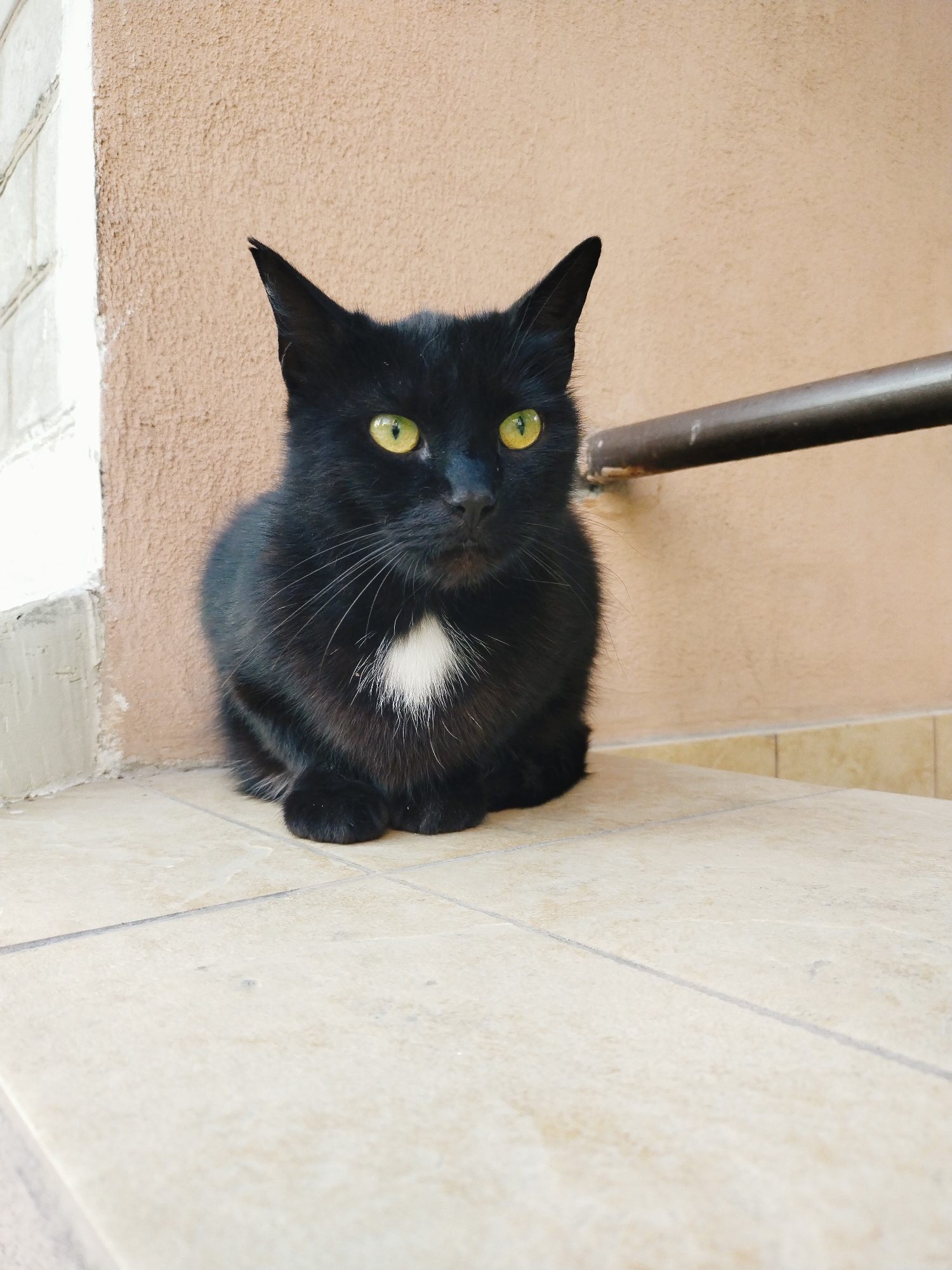 A medium shot shows a black cat with bright green eyes sitting on a tiled surface. The cat is facing forward, with its front paws tucked neatly beneath it. It has a small patch of white fur on its chest.
The background consists of a textured, peach-colored wall. To the left of the cat, a white brick wall is partially visible. A dark, cylindrical metal bar runs horizontally across the right side of the frame, attached to the peach wall. The tiled floor is light beige with subtle grey grout lines.
The lighting suggests it is daytime, possibly outdoors, given the shadow cast by the metal bar and the natural light illuminating the scene. The cat's alert posture and direct gaze imply it is aware of its surroundings. The overall impression is a calm, everyday moment captured in what appears to be an outdoor or semi-outdoor setting. There is no visible text in the image.