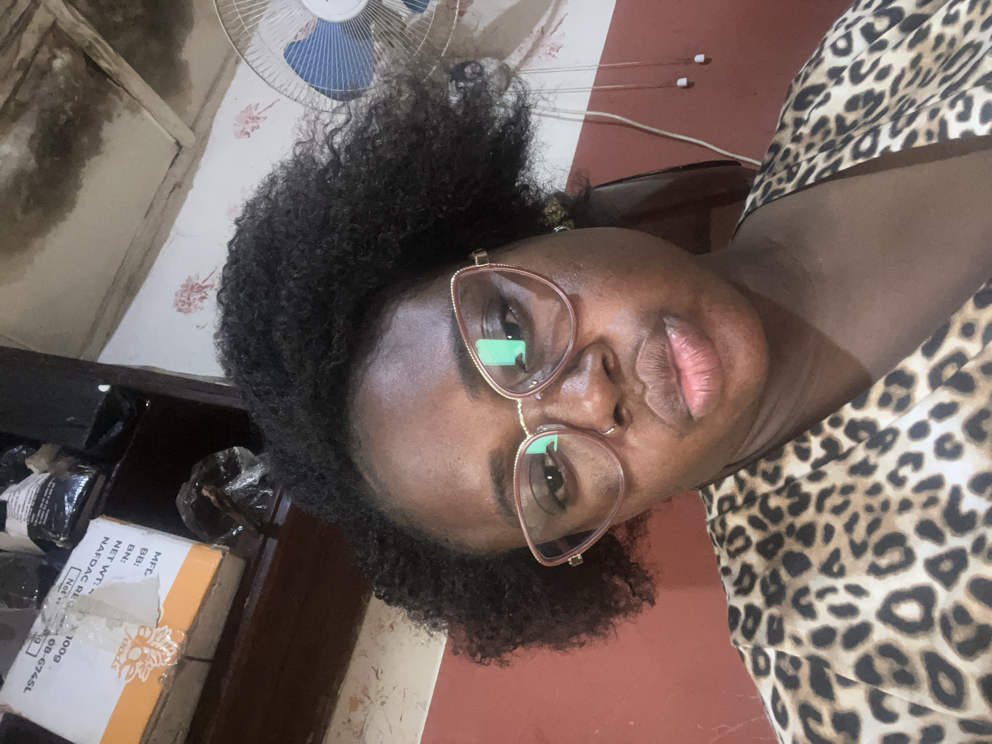 A close-up selfie shows a dark-skinned woman with curly hair and a leopard-print top, wearing light-pink framed glasses and a nose ring. She is looking directly at the camera with pursed lips. Behind her, a blue and white fan is visible, along with a portion of a red wall and what appears to be a ceiling with water stains. In the upper left corner, a cardboard box with text in English is partially visible. The scene is likely indoors, in an urban setting in Jos, Nigeria.