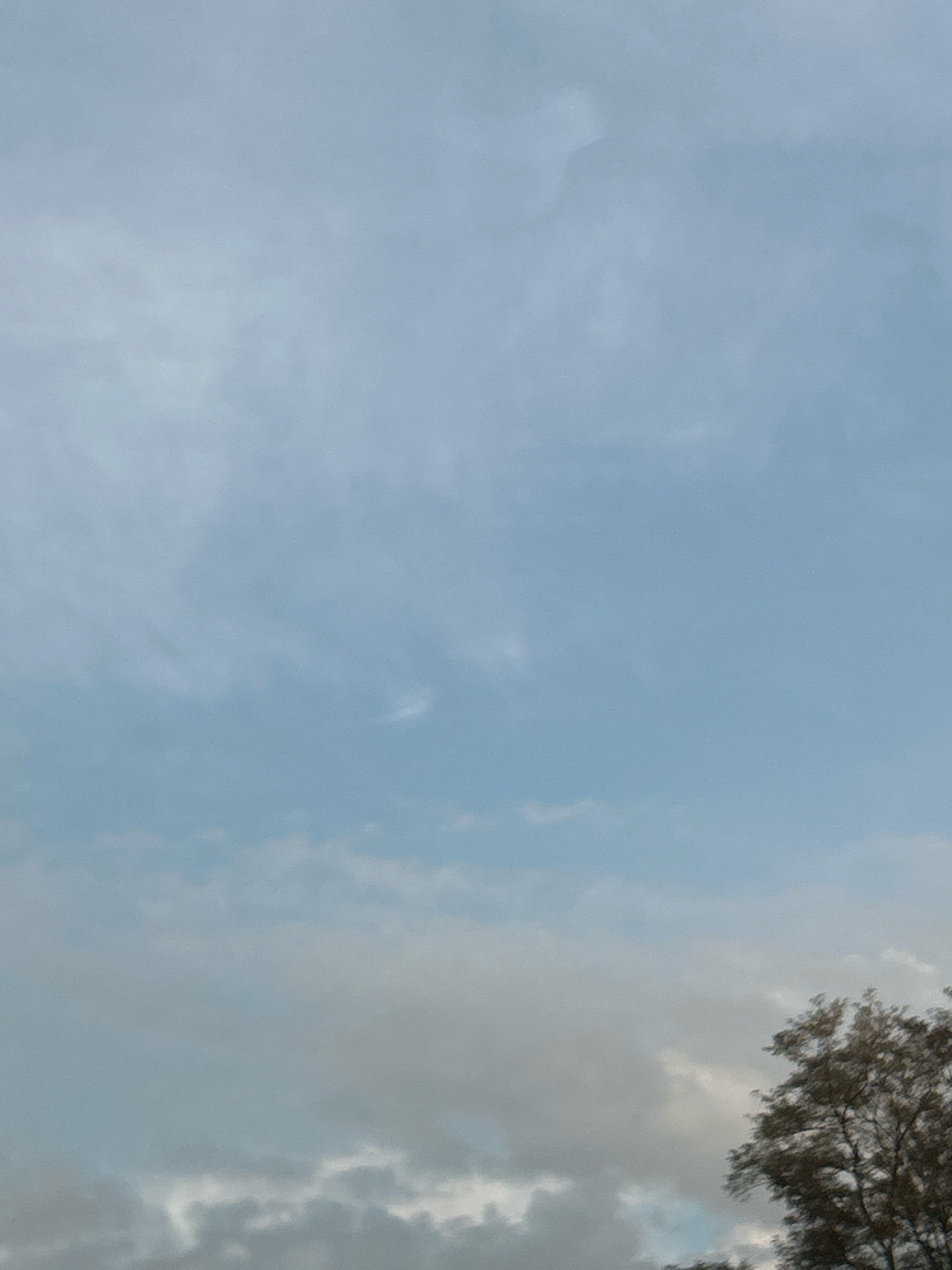 The image shows a cloudy sky with a tree in the lower right corner. The clouds are a mix of white and gray, and the sky is a light blue. The tree is deciduous, with no leaves, suggesting it is autumn or winter. The image is taken from a low angle, looking up at the sky. The location is Robinson Township, United States of America.