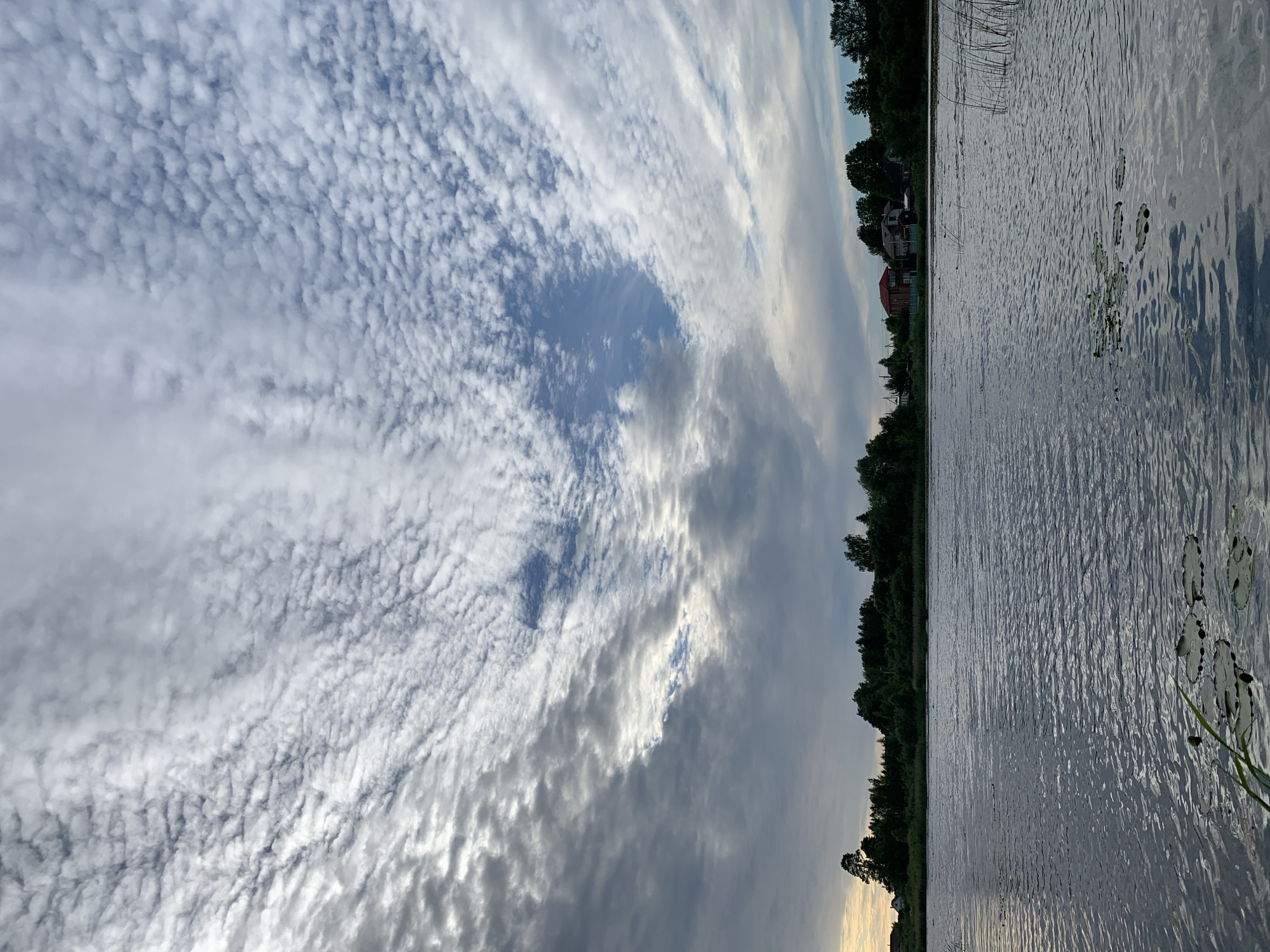 This is a rotated, landscape-oriented photograph of a lake at dusk in Chernovo, Russia. The left side of the image is dominated by a dramatic sky filled with a textured layer of altocumulus clouds. These clouds appear as small, rounded masses or ripples, interspersed with patches of blue sky and darker, heavier clouds towards the bottom. The sunlight catches the edges of the clouds, creating a luminous effect.
The right side of the frame features the calm, rippling surface of a lake. The water reflects the sky and the dark treeline that borders the distant shore. Lily pads are visible on the water's surface, adding a natural element to the scene. The treeline is dense and stretches across the horizon, punctuated by a few houses nestled amongst the trees on the far bank. The houses have red roofs and appear to be a small village. Tall reeds or grasses grow along the edge of the water in some areas.
The overall mood of the image is peaceful and serene, with the soft light of dusk casting a gentle glow. The clouds suggest a dynamic weather pattern that is clearing or transitioning, while the still water indicates a calm evening. There is no visible text in the image.