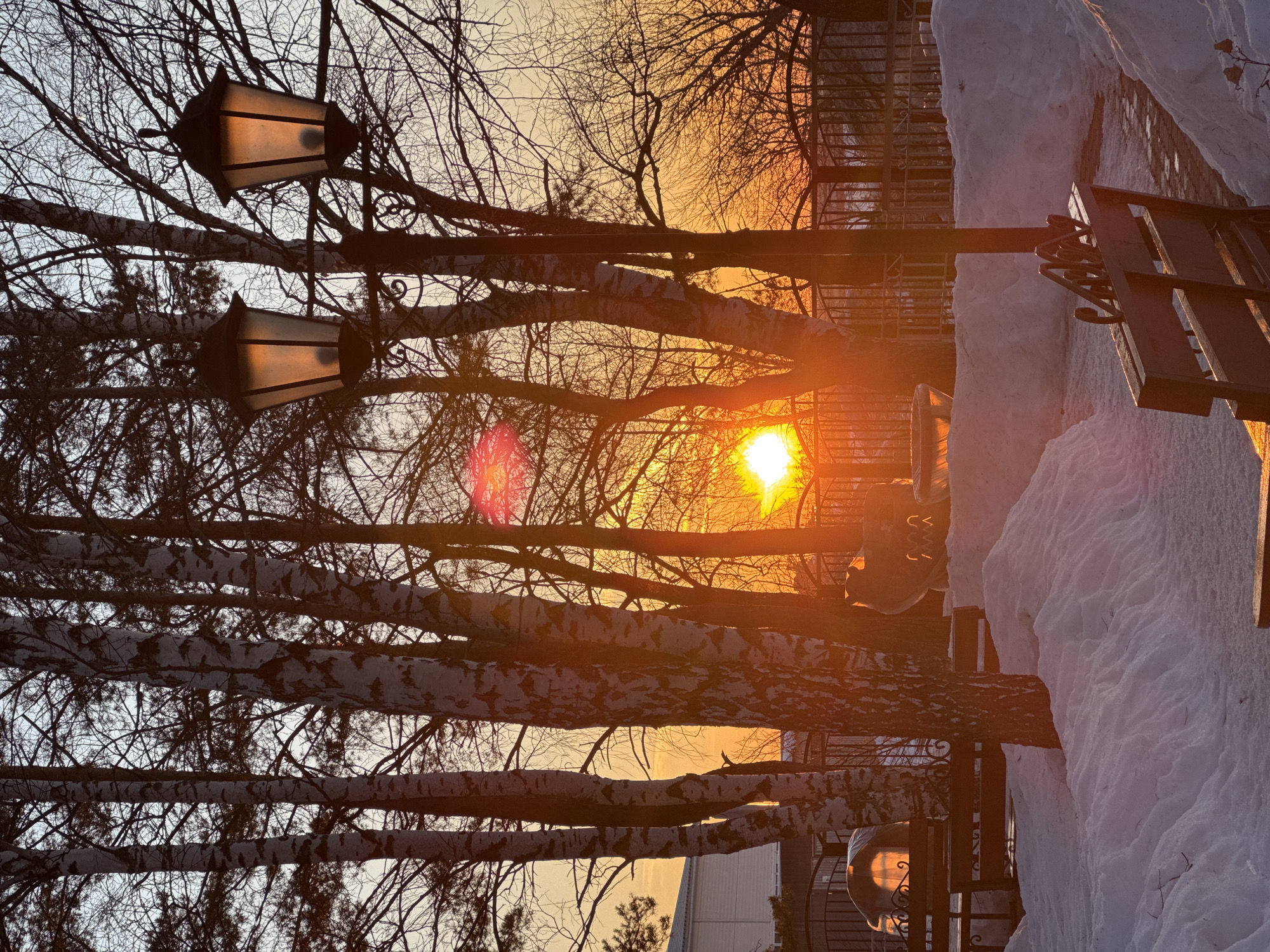The image depicts a winter scene at sunset or sunrise in Chaikovsky, Russia. The foreground features a snow-covered landscape with significant snow accumulation lining a partially visible path. A wooden park bench, seen from the rear with ornamental metalwork on its backrest, is positioned on the right side of the path, partially illuminated by the low sun. To the left, another wooden bench is partially visible and largely covered by snow, adjacent to a plastic-covered object, possibly outdoor furniture or a grill. Further back on the right, a stylized dark-colored figure with glowing cutouts, resembling an animal, stands on a snow mound.
In the midground, a dark metal fence with decorative elements stretches horizontally. Several tall, slender birch trees with distinct white and black bark patterns rise vertically, their bare branches silhouetted against the sky. Other bare deciduous trees and some evergreen branches are also present. A dark street lamp with two ornate, illuminated lanterns, emitting a warm glow, is positioned centrally on the right side.
The background is dominated by a brilliant orange and yellow sky as the sun, low on the horizon, produces significant glare and lens flare through the bare tree branches. The bright sun is partially obscured by the tree line. On the far left, beyond the fence and trees, part of a white building with a dark roof is visible. No people or overt actions are depicted.