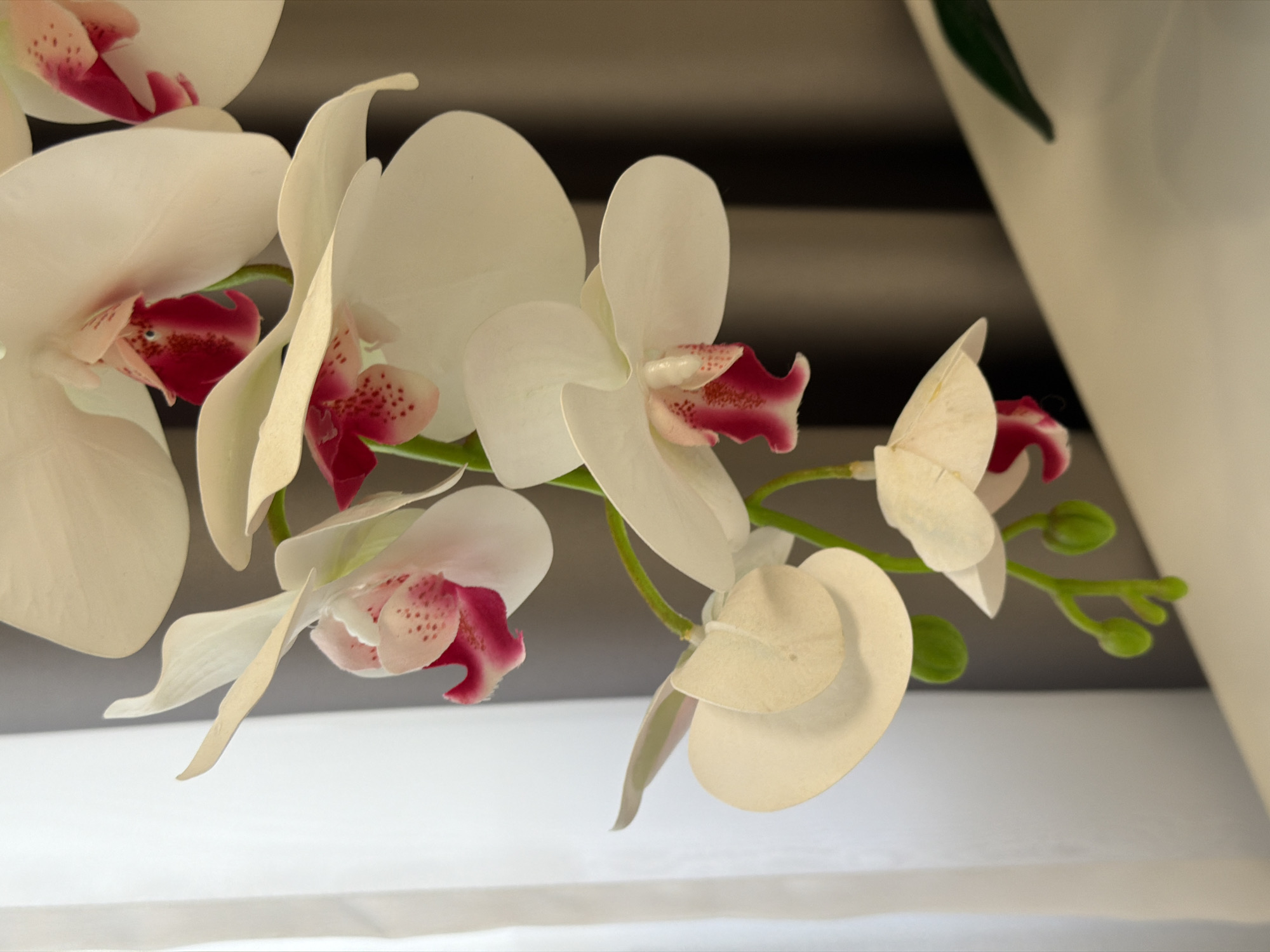 This is a close-up, low-angle photograph of several artificial white orchids with vibrant magenta centers, arranged on a stem. The orchids are predominantly white with delicate pink speckles in their throats. The petals are curved and layered, creating a sense of depth and movement. One orchid in the foreground has a small green bud emerging from its stem, suggesting the plant is still developing. The background is divided into two distinct zones: the upper portion is a dark, horizontal striped pattern, while the lower portion is a bright, white surface. A large, out-of-focus white form occupies the right side of the frame, possibly a decorative vase or architectural element. The lighting is soft and diffused, highlighting the textures and delicate colors of the flowers. The overall impression is one of serene, artificial beauty, likely staged for decorative purposes. There is no text visible in the image.