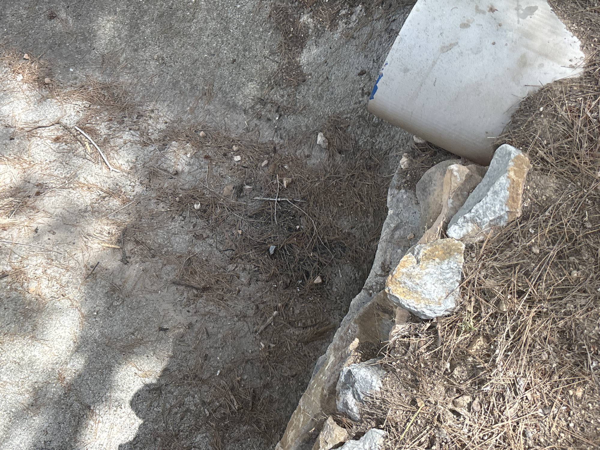 The image shows a close-up, overhead view of a natural ground surface, likely outdoors. The ground is covered with a mixture of sand, small stones, and a significant amount of dried pine needles and twigs. In the upper right quadrant of the image, a large, curved object made of a light-colored material, possibly concrete or stone, rests on the ground. This object appears to be a section of a pipe or a similar cylindrical structure, with a visible blue marking on its surface.
To the right of this structure, a line of rocks of varying sizes and colors creates a border or edge. Some of these rocks are rough and gray, while others are lighter with yellowish-brown markings. The overall scene is arid and appears to be in a state of natural disarray, with debris scattered across the ground. The lighting suggests it is daytime, with dappled shadows indicating sunlight filtering through foliage from above, creating patches of light and shade on the ground. No people are visible in the image. The setting appears to be a somewhat unkempt outdoor area, possibly a construction site, a natural trail, or a yard where debris has accumulated.