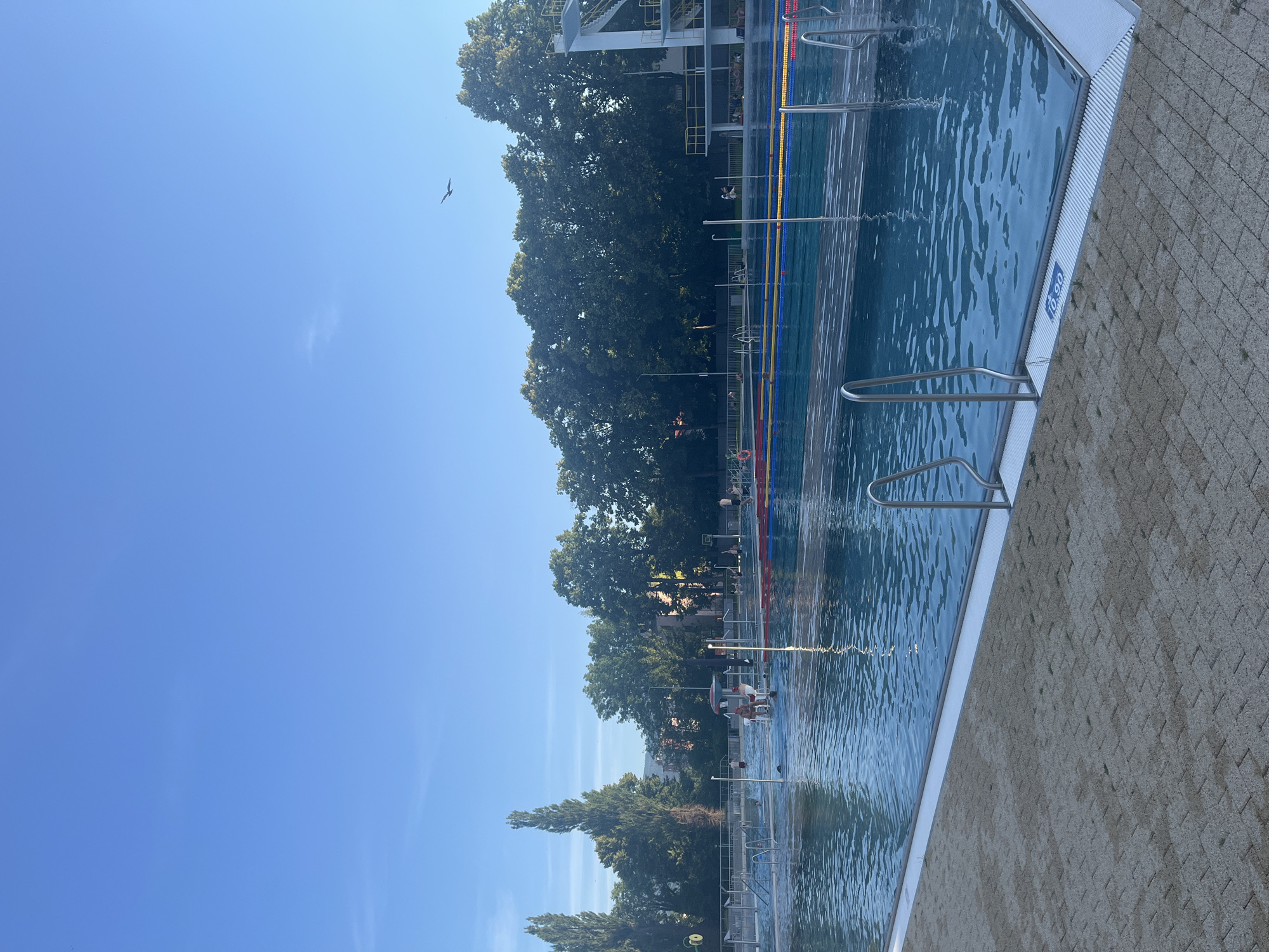 The image depicts an outdoor swimming pool on a clear day. The pool has lanes marked with yellow, red, and blue buoys. There are several people in and around the pool, including swimmers and individuals relaxing. A diving platform is visible on the right side of the image. The area surrounding the pool is paved with light-colored bricks, and lush green trees form a backdrop. The sky is a bright blue with a single bird in flight. The scene appears to be a public swimming facility.