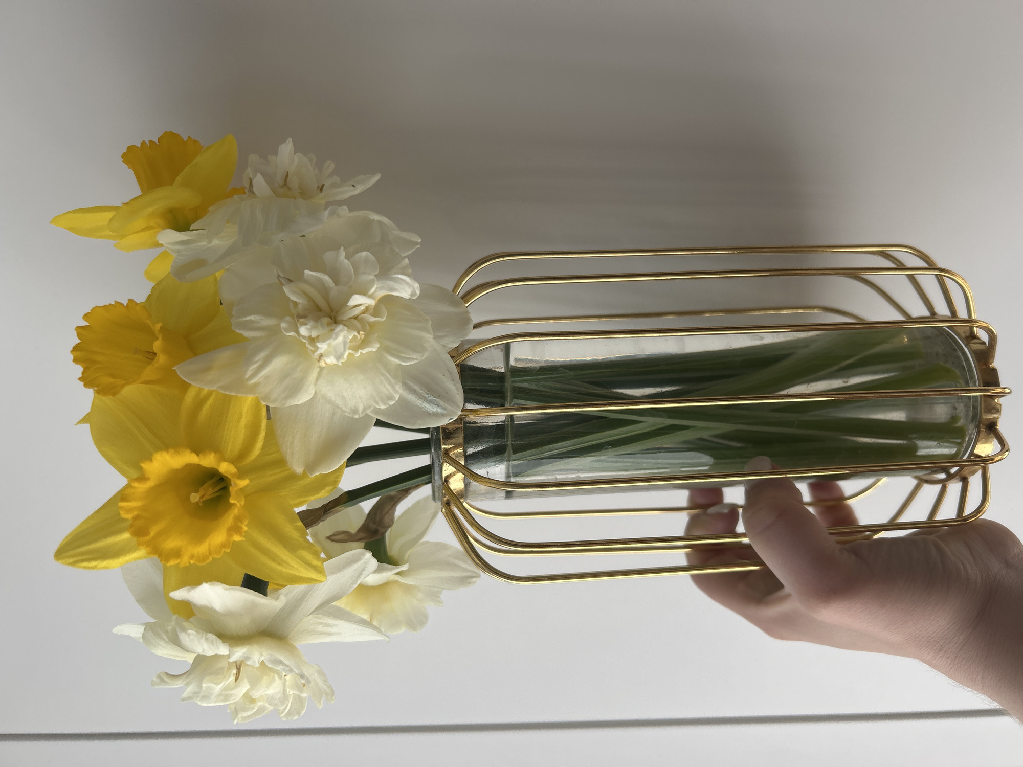 A hand holds a cylindrical glass vase encased in a gold wire frame. The vase contains water and the stems of daffodils. Yellow and white daffodils are arranged in the vase. The background is a white surface. The image does not provide information to determine the location in Chaikovsky, Russia.