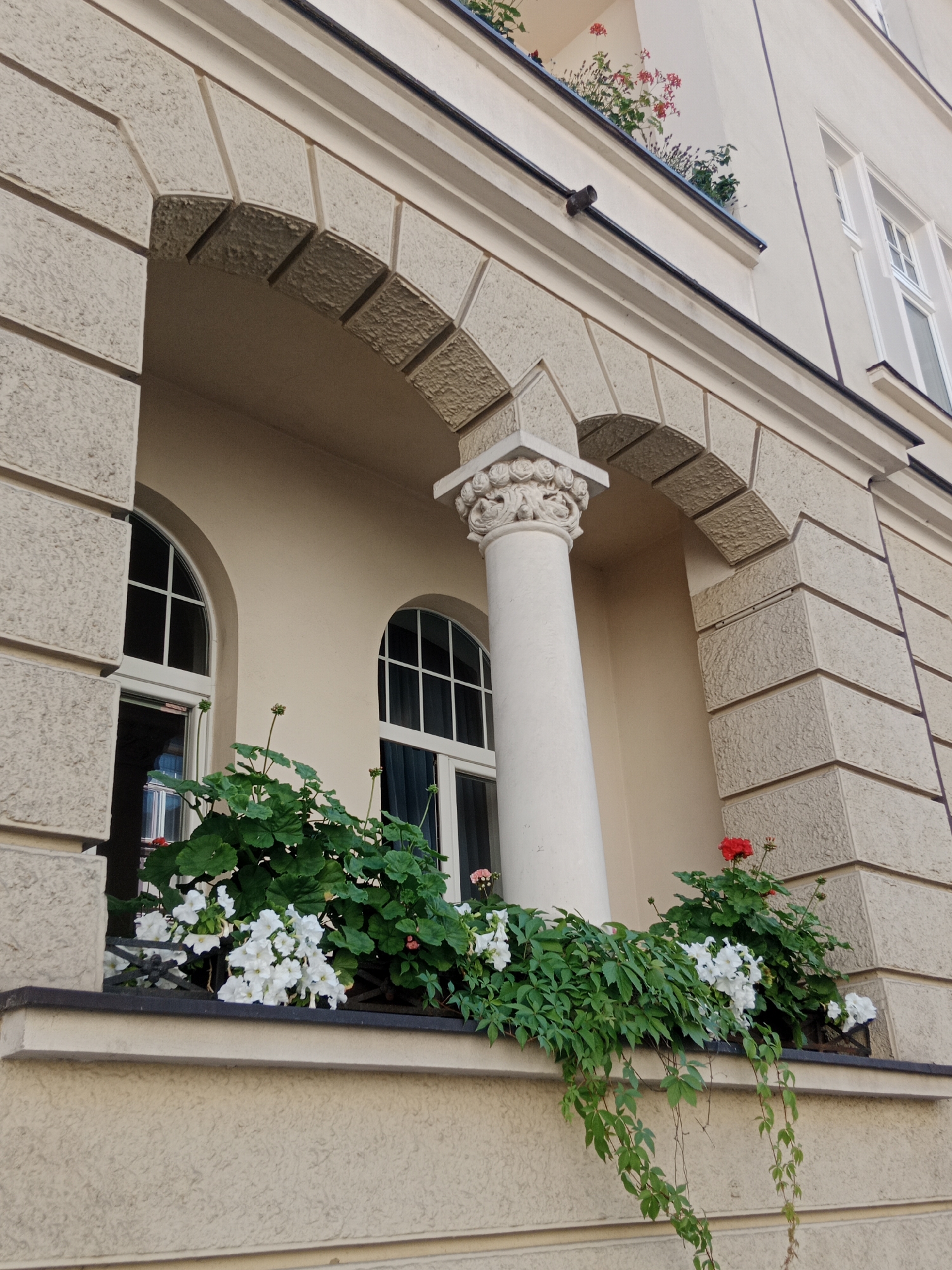 The image shows a detailed view of a building facade in Bydgoszcz, Poland. The facade is constructed with textured beige stone blocks, arranged in a pattern of large rectangular blocks and smaller trapezoidal blocks forming an arch. A white, fluted column with ornate carvings at the top supports the arch. Within the arch, two arched windows with white frames and grids are visible.
In front of the windows, a window box is filled with lush green foliage and an abundance of white flowers, with a few red flowers interspersed. Some of the green vines are cascading down the side of the building. Above the arch, a balcony area is visible with more red flowers and greenery. The overall impression is one of elegant architectural detail and well-maintained floral decorations on a building in the city.