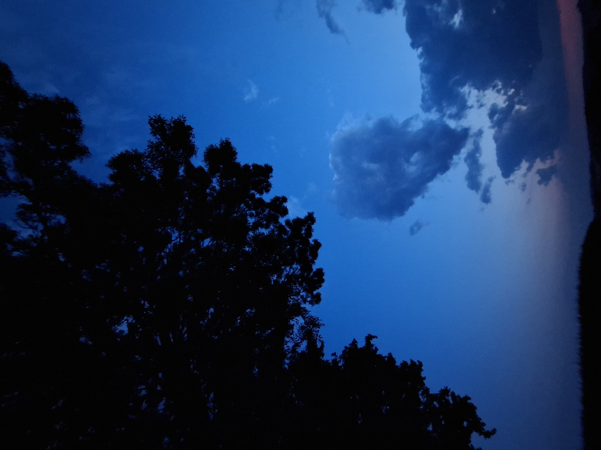 The image captures a twilight scene, likely in Kirchardt, Germany. A silhouetted tree dominates the upper left quadrant, its dark foliage stark against a deep blue sky. Scattered, dark clouds drift across the sky, with a larger, more defined cloud formation in the center right. The bottom of the image shows a dark, blurry silhouette of the ground, possibly fields or a horizon line, hinting at an outdoor, natural setting. The overall mood is serene and atmospheric, characteristic of the transition from day to night.