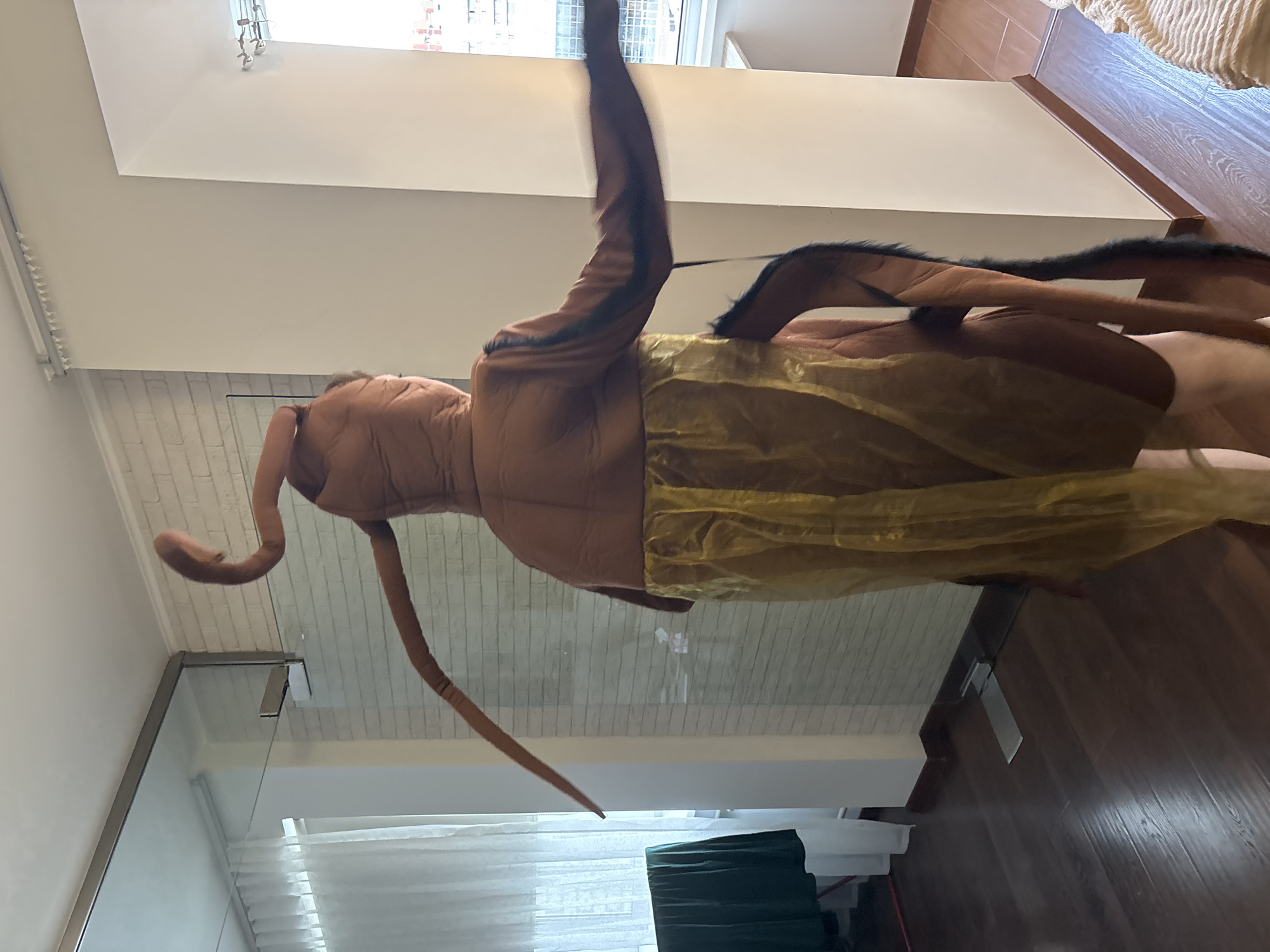 An individual is depicted indoors, viewed from the back, wearing an elaborate brown, multi-limbed costume resembling a large insect, possibly a cockroach, complete with prominent antennae and dark, furry appendages. A voluminous, shimmering golden fabric component is draped around the lower torso of the costume. The individual's left arm is extended and blurred, indicative of motion or gesticulation towards the right side of the frame.
The setting is an interior residential space with a dark brown, glossy wooden plank floor. A clear glass partition, supported by a metal top rail and a securing bracket, divides the room. To the left of the partition, a window covered with white sheer curtains is visible, with a dark green fabric draped over what appears to be a drying rack beneath it. To the right of the partition, a section of a white wall exhibits a textured brick pattern, transitioning to a plain light-colored wall further right. Another window on the far right reveals external urban buildings and features a minimalist curtain rod. A light-colored tiled floor is partially visible in an adjacent area, along with a textured, cream-colored textile, likely a blanket or rug. A metallic floor transition strip is situated at the base of the glass partition. The ceiling is white with simple crown molding. The scene is located in the city of Saint Petersburg, Russia.