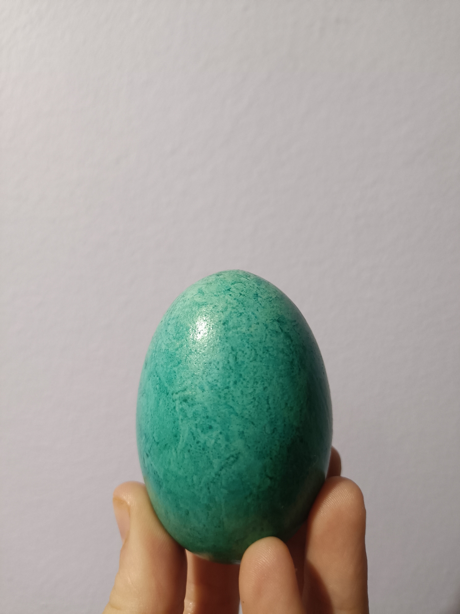 A hand is holding a turquoise colored egg against a light gray or white background. The egg has a slightly speckled texture. The hand appears to be light-skinned and only the fingers are visible. The background is plain. There is no information to indicate this photo was taken in Plovdiv, Bulgaria.