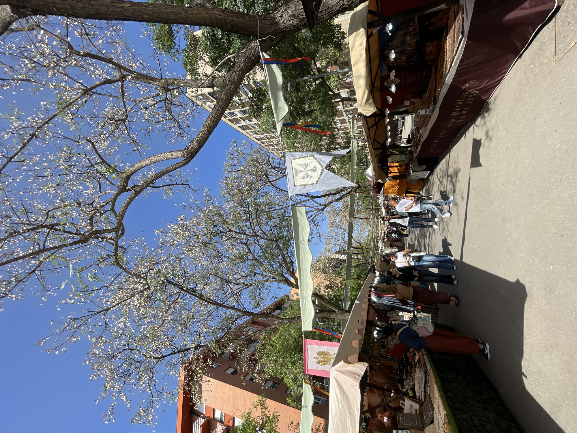 The image displays an outdoor market scene captured from a low, upward-looking perspective, showcasing blooming trees against a clear blue sky. The market is set up along a paved street or pathway, with stalls lining both sides.
**Subjects:** Numerous people are seen walking, browsing, and standing near the market stalls. They are dressed in casual attire, indicative of pleasant weather. On the right, market stalls with awnings display various goods, some of which appear to be food items, specifically hams and cured meats. Dominating the upper frame are large trees with abundant light-colored blossoms, likely white or very pale pink, their branches extending across the bright blue sky. Green foliage is also visible among the branches. In the background, modern multi-story buildings with numerous windows rise above the tree line, confirming an urban setting. Decorative flags or banners, some plain light green and others featuring crest-like designs (one with a geometric cross motif, another with a palm tree-like emblem on a pink background), are strung between the trees and attached to stalls, contributing to a festive atmosphere.
**Activity or event taking place:** The scene depicts an outdoor market or fair in full swing, with people engaging in shopping and leisurely strolling. The presence of food stalls and decorated banners suggests a potentially themed event.
**Notable details:** The time of day is bright and sunny, indicated by the clear blue sky and strong shadows cast by the stalls and people on the pavement. The weather is clement. The blooming trees suggest springtime. The low photographic angle gives prominence to the tree canopy and the sky.
**Visible text:** On a prominent dark-colored stall awning on the right side, the text "J.Peralta Jamones y Embutidos S.A. Desde 1952" is clearly visible in golden script, identifying a business specializing in hams and cured meats, established in 1952. Another stall shows the word "PERFUMOS".