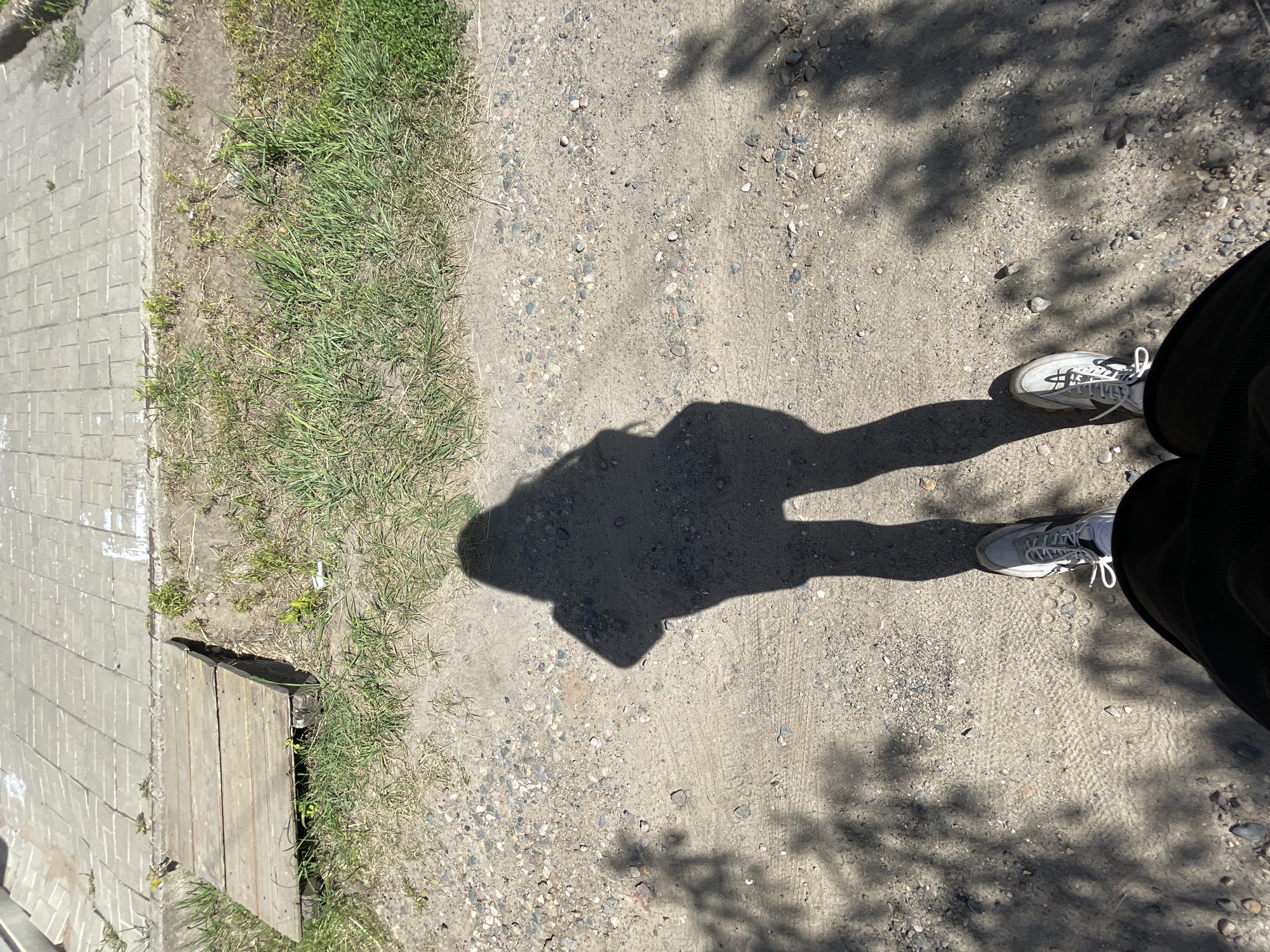 The image shows a shadow of a person standing on a dirt and gravel path. The path is bordered by grass on the left and a paved sidewalk on the right. A wooden plank structure is visible on the grass. The shadow indicates the person is wearing athletic shoes and shorts. The lighting suggests it is daytime, and the environment appears to be outdoors in an urban or suburban setting. The location of Заречный, Russia, is not explicitly depicted in the image.