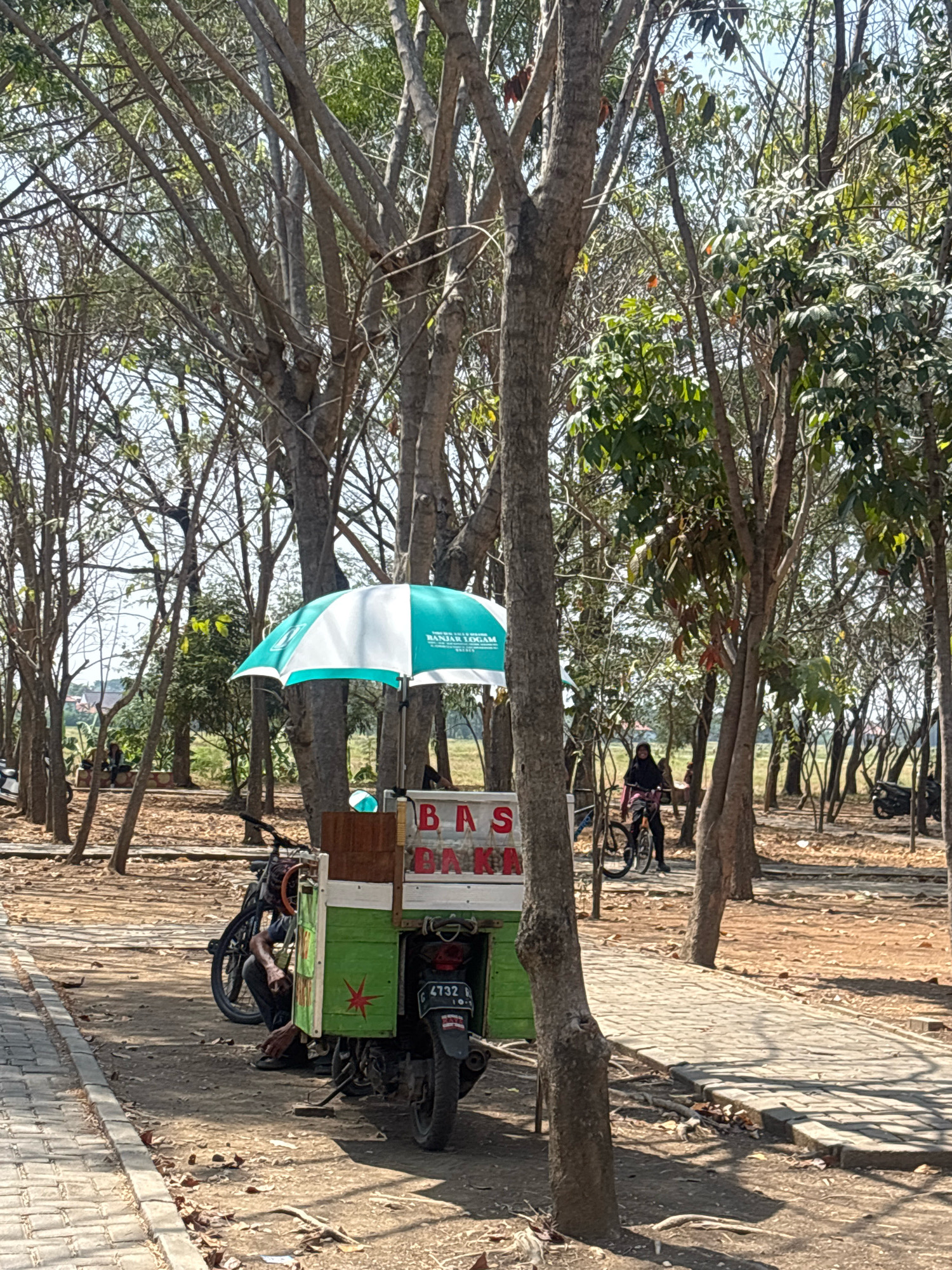 The image shows a street vendor's cart with a green and white umbrella, parked on a dirt path beside a paved walkway in Tegal, Indonesia. The cart is attached to a motorcycle. There is a person in the background wearing a hijab, riding a bicycle. The scene is outdoors, with many trees and fallen leaves on the ground, suggesting a park or a tree-lined street. The sky is visible and appears clear. The vendor's cart has some text on it, but it is not clearly legible. A license plate with the number "4732 R" is visible on the back of the motorcycle.