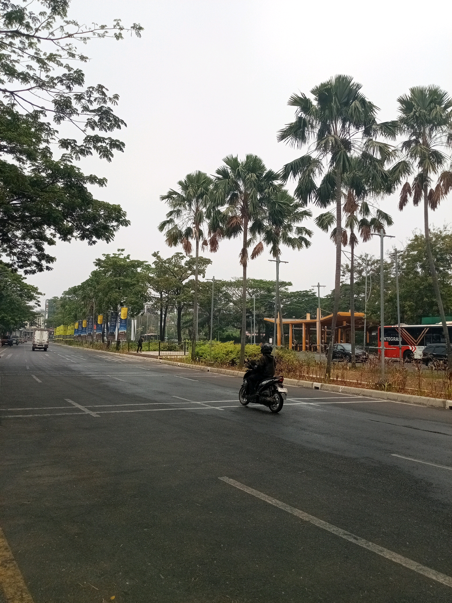 The image depicts a street scene in Bekasi, Indonesia, characterized by a wide asphalt road with clear lane markings. The road is bordered by a grassy median and a sidewalk. Tall palm trees line the right side of the road, interspersed with streetlights. On the left side of the road, there are mature trees with dense foliage and a line of banners, indicating a public area or event.
In the foreground, a person is riding a black motorcycle on the right lane of the road, moving away from the viewer. The rider is wearing dark clothing and a helmet. Further down the road, several vehicles are visible, including a white truck on the left lane and a red bus with "INTEGRA" written on its side on the right lane. A pedestrian is visible on the sidewalk to the right of the road.
In the background, there is a covered structure with a modern architectural design, possibly a bus stop or a small pavilion. The sky is overcast and appears bright, suggesting either early morning or a cloudy day. The overall impression is of an urban environment with a blend of natural elements like trees and infrastructure.