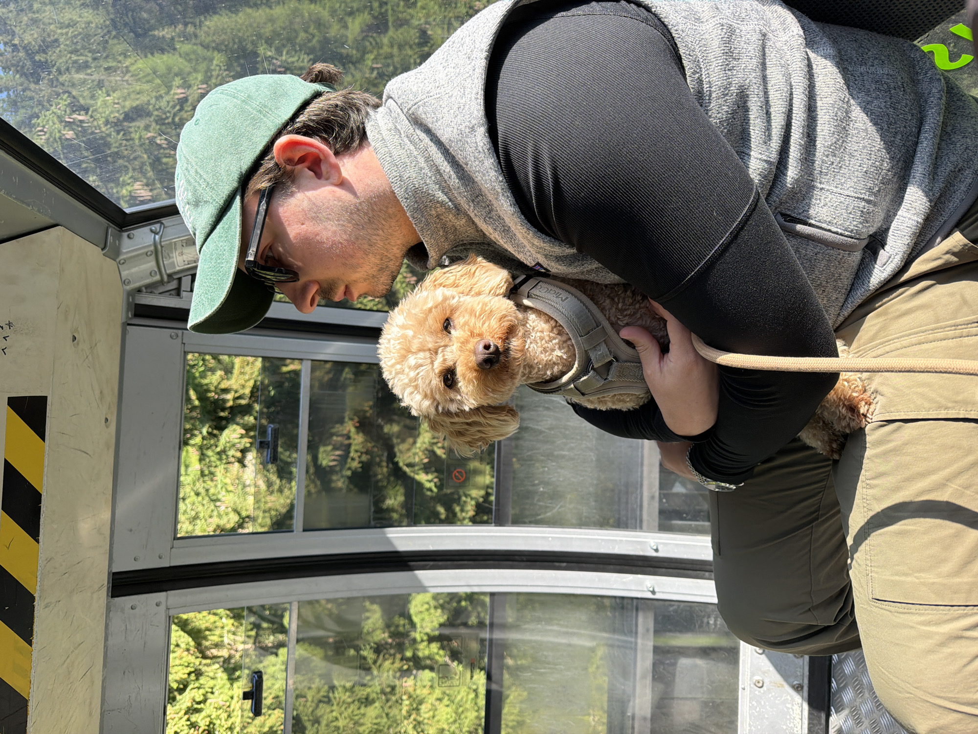 A man with a green cap and sunglasses is sitting inside a gondola with a small, light brown poodle in his arms. The man is wearing a grey vest over a black long-sleeved shirt and olive-colored pants. The poodle is wearing a grey harness. Through the gondola windows, a forest of green trees is visible, indicating an outdoor, mountainous environment. The gondola interior shows metallic walls and a yellow and black striped caution sign. The scene appears to be in the municipality of Mühlbach - Rio di Pusteria, Italy, likely during a scenic cable car ride through the mountains.