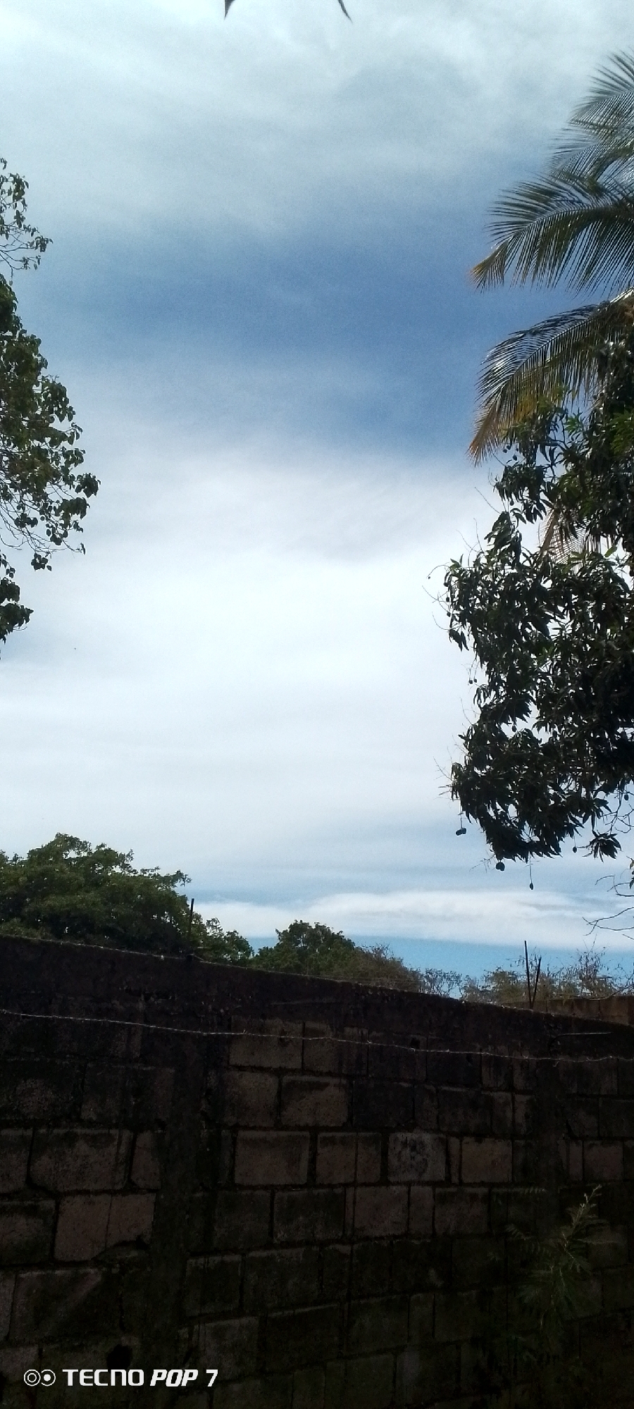The image shows a scene in Altagracia, Venezuela. In the foreground is a partially obscured brick wall covered with moss and lichen. Behind the wall, a line of trees is visible. The sky dominates the upper portion of the image, with a mix of blue and white clouds. On the left and right sides of the image, the branches and leaves of trees frame the scene. A palm tree is visible in the upper right. The photo was taken using a Tecno Pop 7 device.