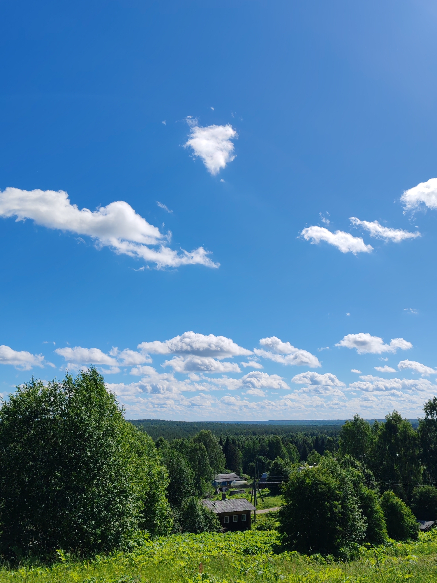 This media file captures a picturesque rural landscape under a bright, blue sky dotted with fluffy white clouds. The scene is dominated by lush green vegetation, including a large, dense tree in the foreground on the left, and a rolling expanse of trees in the background that forms a forest stretching to the horizon. Nestled within the trees, a small cluster of rustic, wooden houses with dark roofs can be seen, suggesting a village or hamlet. The houses appear to be simple, traditional dwellings.
The time of day appears to be midday, given the bright sunlight casting clear shadows and illuminating the scene. The weather is fair and sunny, with the presence of scattered clouds indicating a pleasant day. The location cues, such as the style of the houses and the dense, mixed forests, are consistent with a rural setting in Russia, specifically hinted to be in Чухлэм, Russia. There are no people or specific activities depicted; the focus is on the serene natural landscape and the small human settlement integrated within it. The overall mood conveyed is one of tranquility and natural beauty. No visible text is present in the image.