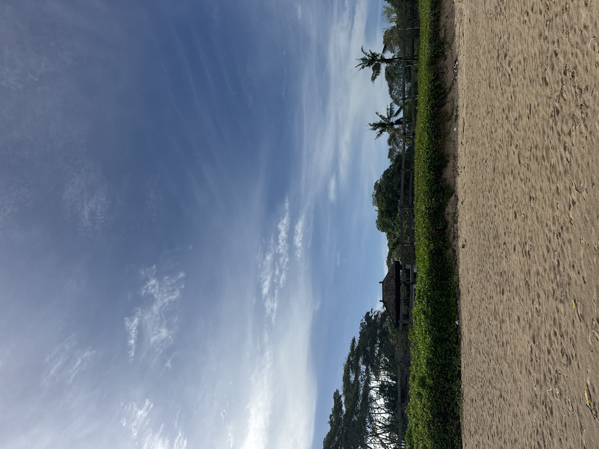 The image shows a beach in Kuta Selatan, Indonesia, with sand on the right side. Adjacent to the sand is a line of green vegetation and trees. Further back is a structure, possibly a building, with a tiled roof visible. Two palm trees are seen within the vegetation. The sky above is blue with wispy white clouds.