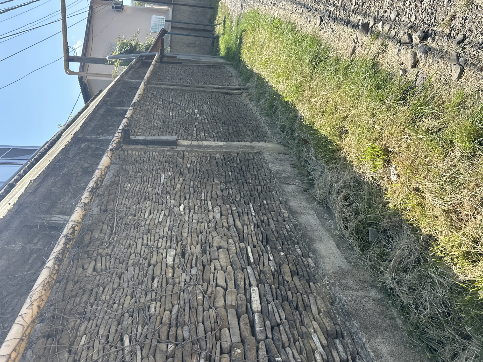 A weathered stone wall, reinforced with wire mesh and topped with a yellowish pipe, runs along the left side of the image. The wall is constructed of flat, irregular stones stacked horizontally. Dry, thin vines cling to the wall, particularly near the pipe. A concrete base supports the stone wall, with patches of dry grass and green shoots growing in front of it. To the right of the wall is a gravel path bordered by more dry and green grass. In the background, a building with a light-colored facade and a corrugated roof is visible, along with utility poles and overhead wires. The scene suggests an outdoor, possibly alleyway or backyard setting in a city. The lighting indicates it is daytime, with sunlight casting shadows. This scene is consistent with the architecture and urban environment found in Sochi, Russia.
