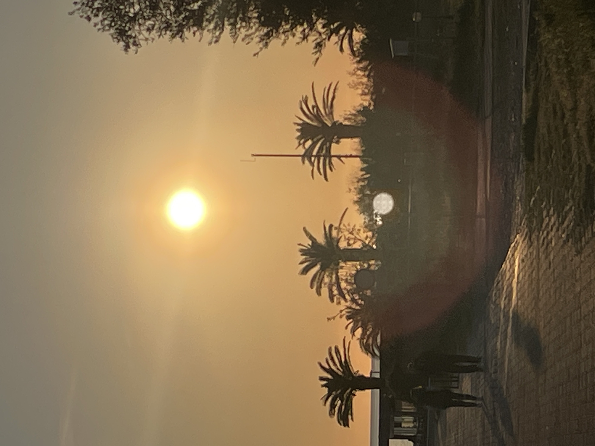 A low-angle shot shows the sun low in the sky over Bar, Montenegro. Silhouetted palm trees stand along a street lined with trees. There are people standing in the street. The air appears hazy or smoky. The street is made of a shiny, patterned material.