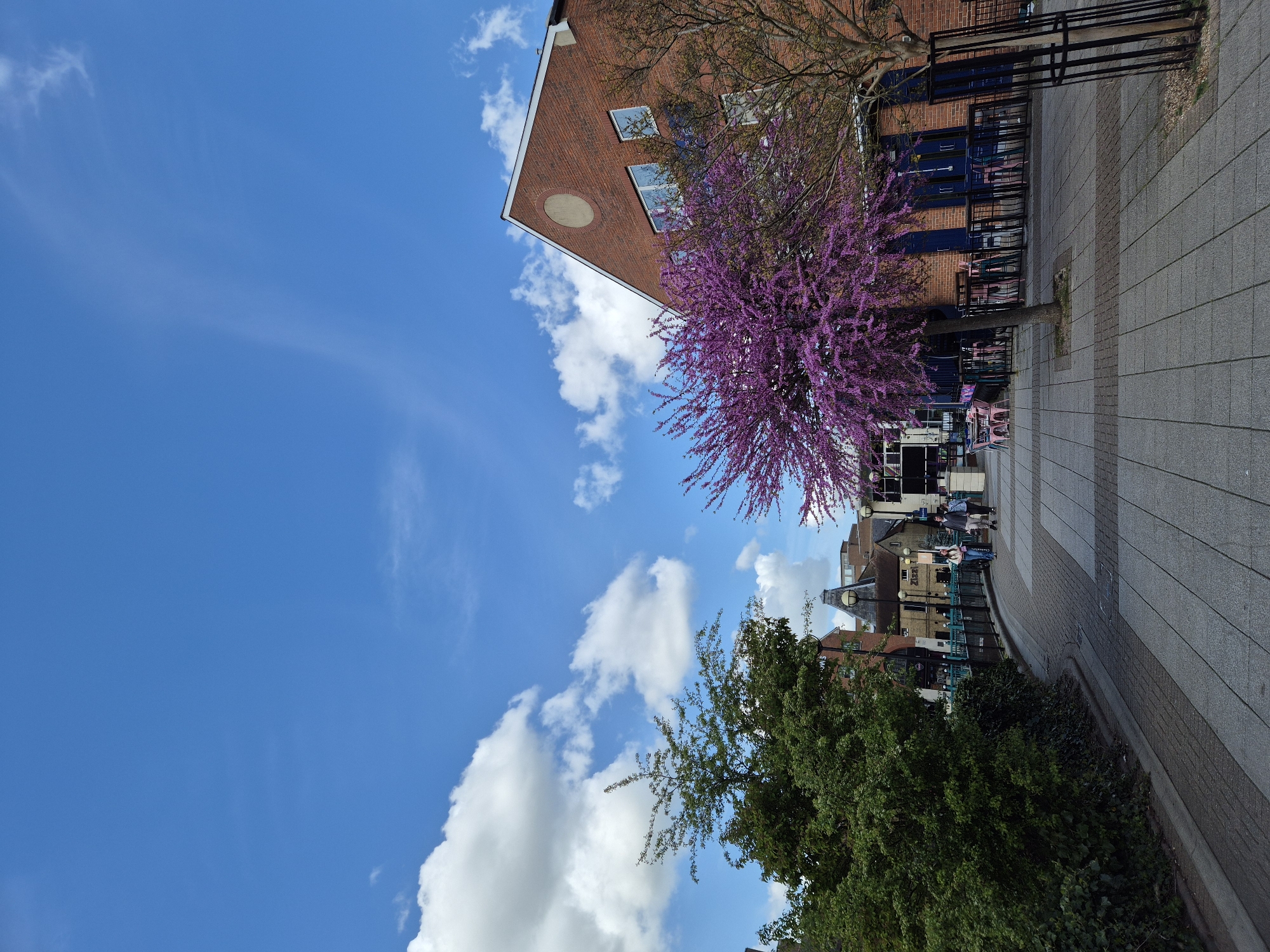 The image depicts a street scene in Chelmsford, United Kingdom, on a bright day. The sky is blue with scattered white clouds. A brick building with a circular architectural feature and rectangular windows stands on one side of the street. Adjacent to the building is a flowering tree with vibrant purple blossoms. A black metal railing runs along the edge of the paved sidewalk. People are present, though not prominently featured. Along the other side of the paved road, a mix of older brick buildings and commercial establishments are visible. A lush green tree is in the foreground.