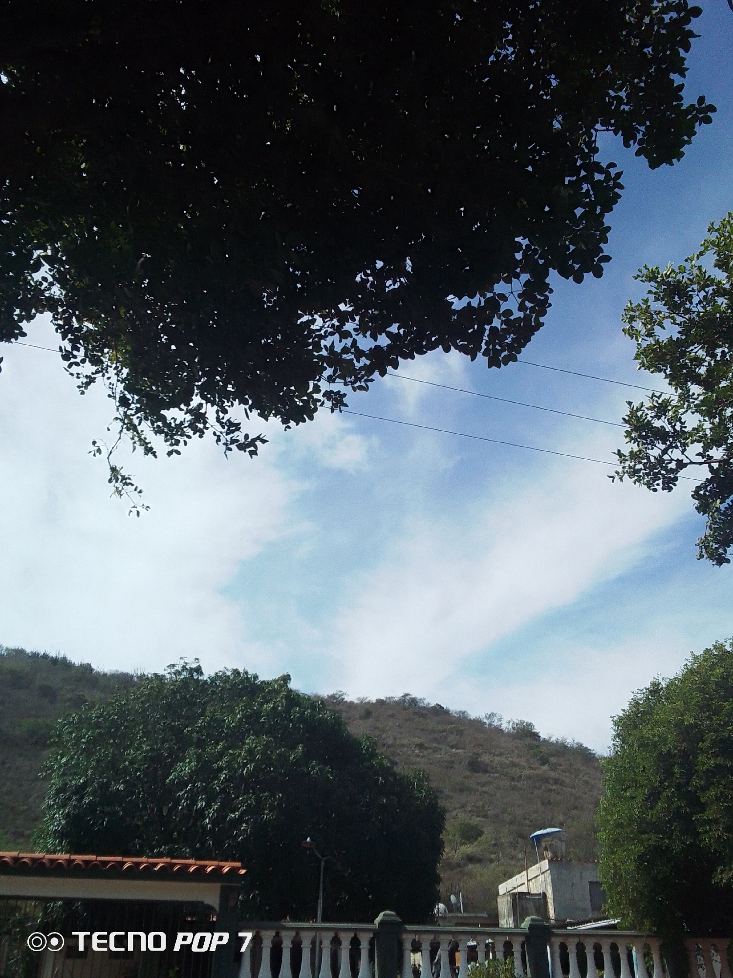 This image depicts an outdoor daytime scene in Pedro González, Venezuela. The upper portion of the frame is dominated by a blue sky with scattered white clouds, partially obscured by dark green tree canopies in the upper left and upper right corners. Three parallel power lines extend horizontally across the mid-upper sky. In the background, an arid hill covered with sparse, dry brush slopes upward, occupying the left and central-rear portions of the image.
The mid-ground on the left features a large, dense green tree. In the lower part of the frame, a white balustrade with dark vertical posts runs horizontally, separating the foreground from the mid-ground elements. Behind the balustrade on the lower left, a section of a building with a terracotta-tiled roof is visible. To the right of the balustrade, a light-colored, multi-story building with a flat roof stands, topped by a blue, cylindrical object, likely a water tank or cover. A streetlamp with a curved arm is partially visible to the left of this building, obscured by foliage. Another section of dense green foliage appears on the far right. No people, specific actions, or interactions are discernible within the scene.