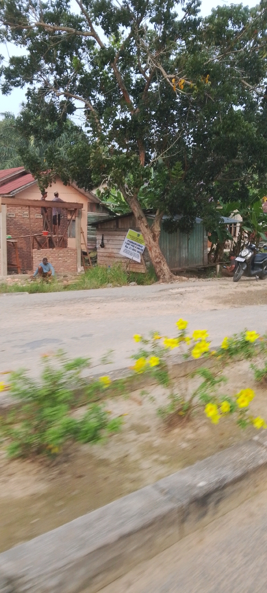 The image depicts an outdoor scene likely in the vicinity of Seremban Jaya, Indonesia. In the background, there is a partially constructed building with exposed brickwork and wooden framing. Two individuals are visible on the roof of this structure, appearing to be engaged in construction work. Below them, another person is crouched on the ground, also seemingly involved in the construction process. A signpost is planted near the building, displaying text in Indonesian that appears to be related to a construction project. To the right of the building, a wooden shack or storage area is visible, and a motorcycle is parked in front of it. The foreground shows a road or pathway with greenery and blooming yellow flowers along its edge. The overall environment suggests a developing or rural area.