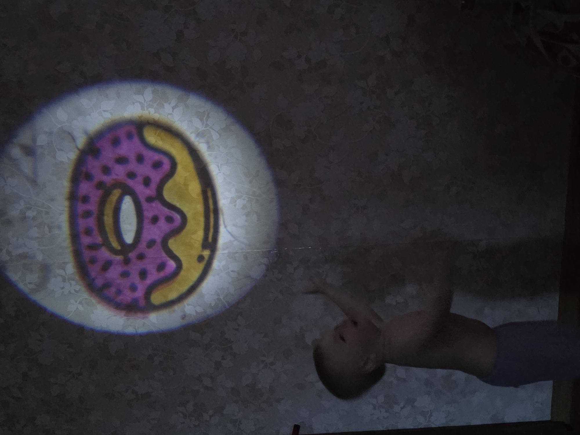 The scene is an interior room within the city of Chaikovsky, Russia. A dimly lit environment reveals a wall adorned with patterned wallpaper. Centered in the upper portion of the frame is a bright, circular projection of a cartoon donut, depicted with a golden-yellow base, purple icing, and dark sprinkles. A young child, dressed in light-colored trousers and appearing to be partially unclothed on the upper torso, stands in the lower-left. The child is oriented towards the right, with their head tilted back and right arm extended upwards, directed towards the projected donut image.