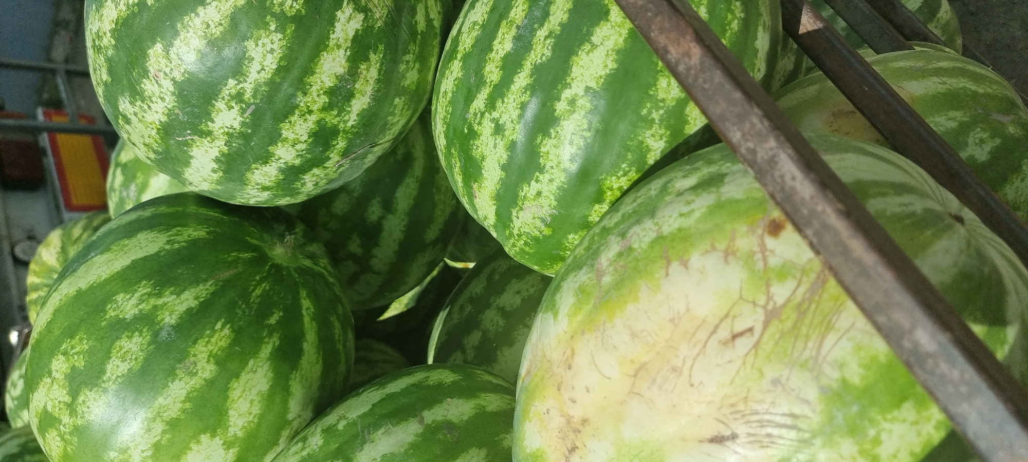 A close-up, vertical, eye-level shot shows a pile of watermelons at a market stall in Aktobe, Kazakhstan. The watermelons are round with green rinds featuring light green stripes. A metal grate or shelf is visible in the foreground, partially obscuring some of the watermelons. The background is blurred, but hints of a market environment, possibly with shelving and other produce, can be discerned. The lighting suggests it is daytime.