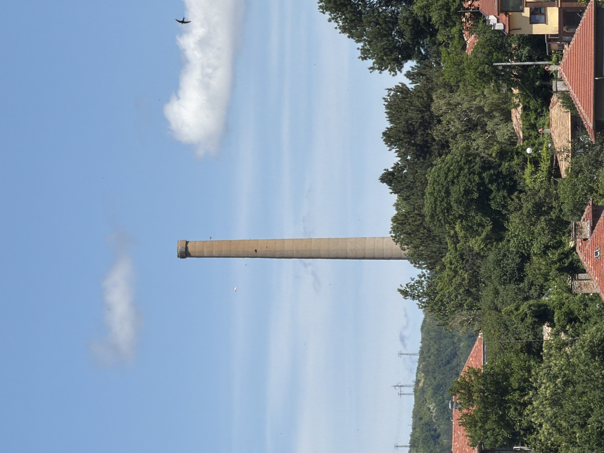 The image depicts a wide-angle view of a landscape with a tall, concrete smokestack as the central focal point. The smokestack, a prominent industrial relic, stands against a bright blue sky dotted with a few white clouds. Below the smokestack, a dense canopy of green trees covers rolling hills. In the foreground, residential buildings with orange-tiled roofs are visible, interspersed with more trees. Power lines and transmission towers can be seen in the distance, suggesting the presence of infrastructure beyond the residential area. A single bird in flight is visible in the upper right quadrant of the sky. The scene appears to be a blend of industrial history and residential life, likely on the outskirts of a city. The location is Shumen, Bulgaria, and the smokestack is part of the former Shumen Brewery.