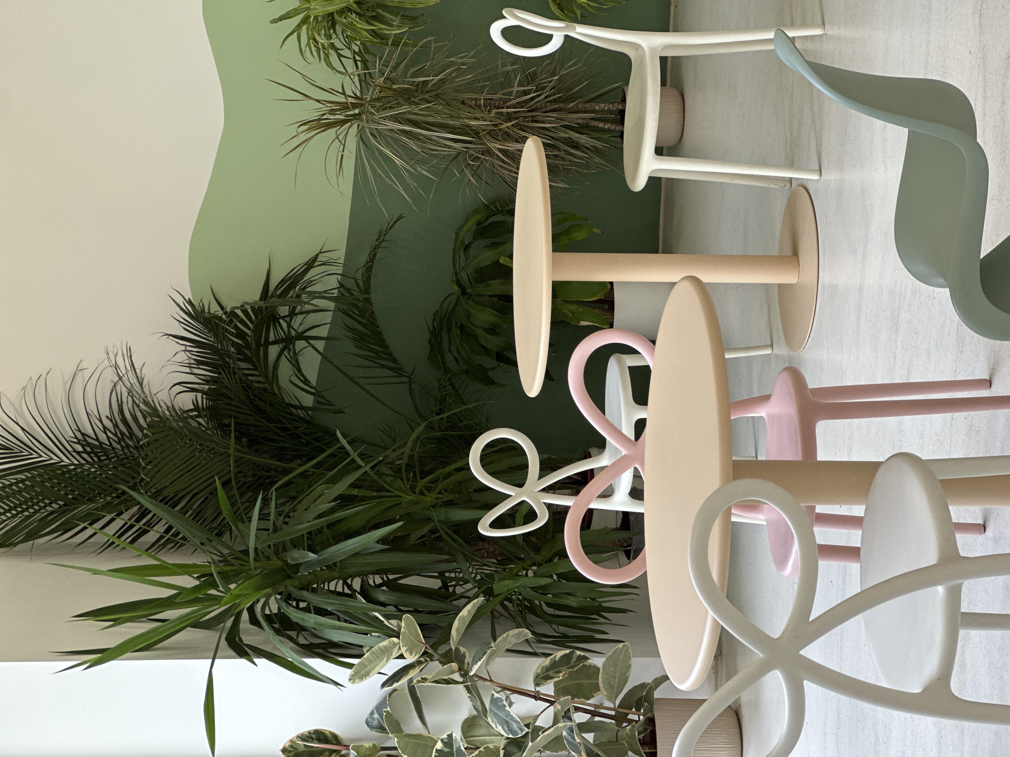 This indoor scene features a modern and biophilic design, showcasing pastel-colored furniture amidst abundant greenery. The background wall is designed with two distinct sections: an off-white upper portion and a lower, medium green section defined by a smooth, organic, wave-like curve, creating a stylized landscape.
Numerous potted plants are strategically placed, including various types of palms with long fronds, spiky-leaved dracaena, and a variegated rubber plant (Ficus elastica 'Tineke'). These plants contribute a lush, natural element to the interior.
The furniture consists of several small, round bistro tables and uniquely designed chairs. The tables feature circular tops and flat, circular bases, presented in soft pastel shades of beige and light pink. The chairs are particularly distinctive, characterized by their sculptural, looping forms that make up their backs and legs. These chairs are also in a pastel palette, including off-white, light pink, and a muted sage green, with one prominent green chair visible towards the upper right.
The lighting is soft and even, highlighting the clean lines of the furniture and the harmonious pastel color scheme. No specific activity or event is taking place; the space appears to be set up and awaiting occupants, possibly for a cafe, restaurant, or lounge area. The overall atmosphere is calm, modern, and inviting.
The location context for this scene is Sofia, Bulgaria. No visible text is present in the image.