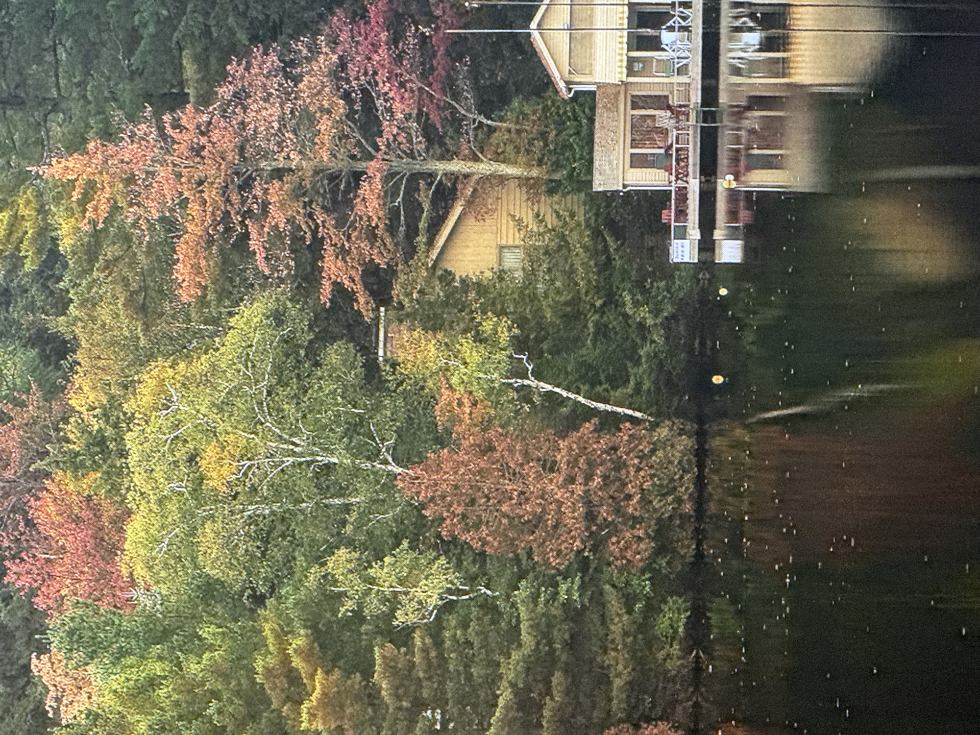 The image depicts a serene natural landscape with a focus on autumnal foliage. Lush green trees intermingle with trees displaying vibrant shades of red, orange, and yellow, indicating the fall season. The trees are dense and cover a hillside that slopes down to a dark, reflective body of water. On the right side of the image, a portion of a light-colored building, possibly a house or boathouse, is visible at the water's edge. The building has a deck or porch area with seating. The water's surface is smooth, reflecting the colors of the trees and the structure. Small, bright spots are scattered across the water, likely reflections of light or small water disturbances. No people are visible in the scene. The overall impression is one of tranquility and the beauty of nature during autumn. There is no indication that this image is located in Saratov, Russia.